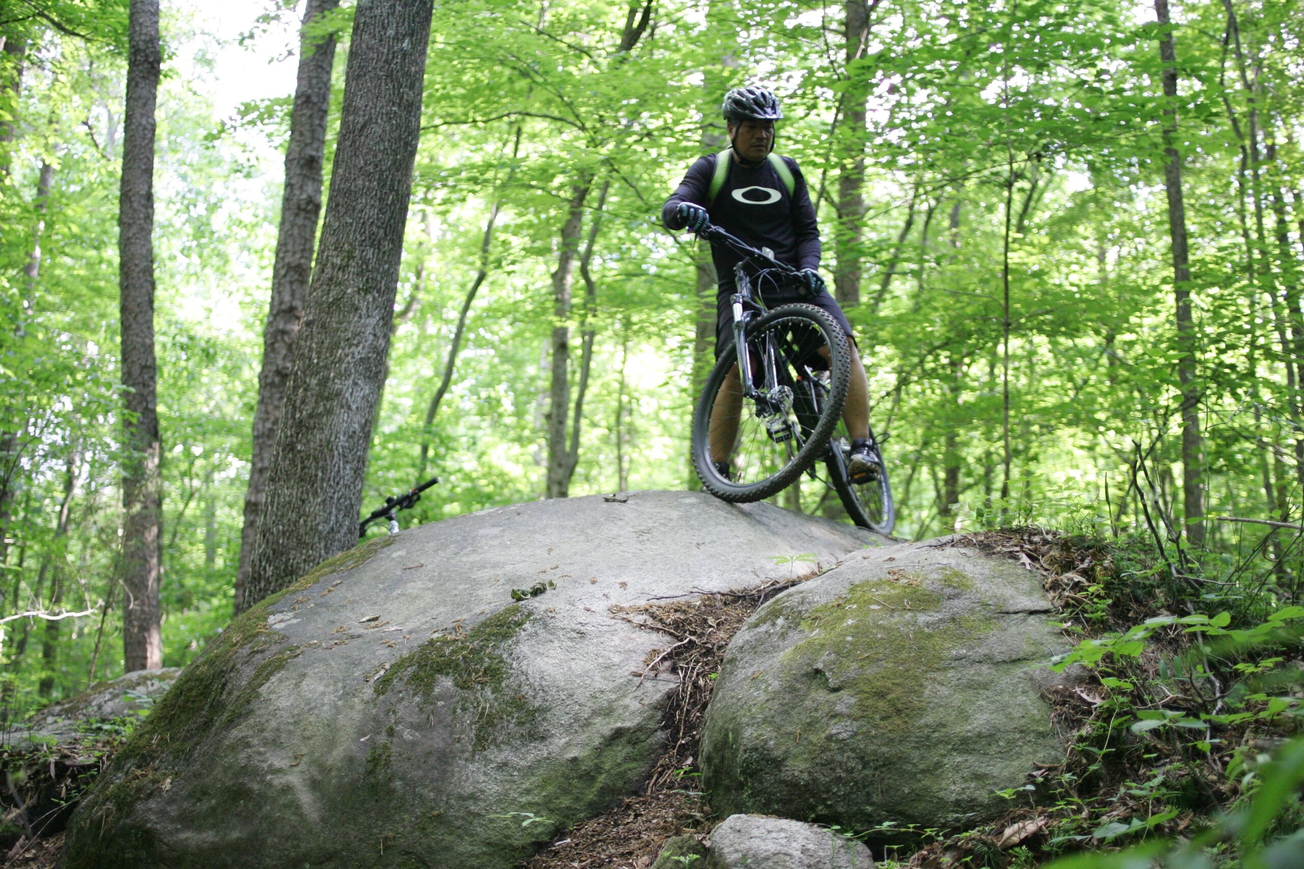 A cyclist in a black outfit and helmet navigates over a large rock in a lush green forest, showcasing mountain biking skills on a nature trail. Trees and foliage surround the scene, providing a vibrant backdrop to the action. Salem Lake mountain bike trail.