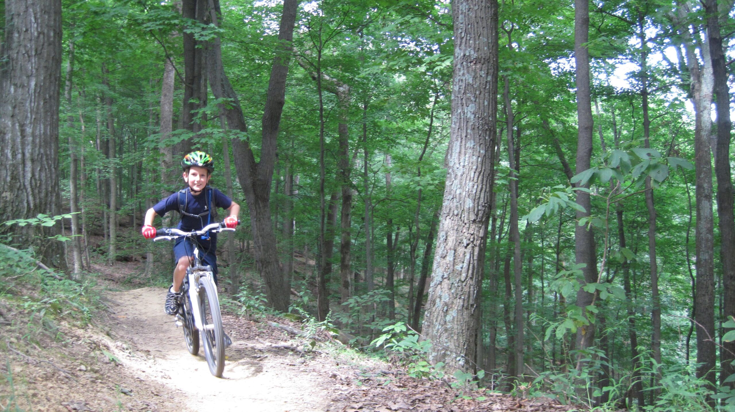 A young boy wearing a helmet and gloves rides a mountain bike on a dirt trail surrounded by lush green trees, enjoying a sunny day outdoors. Brown County Park mountain bike trail.