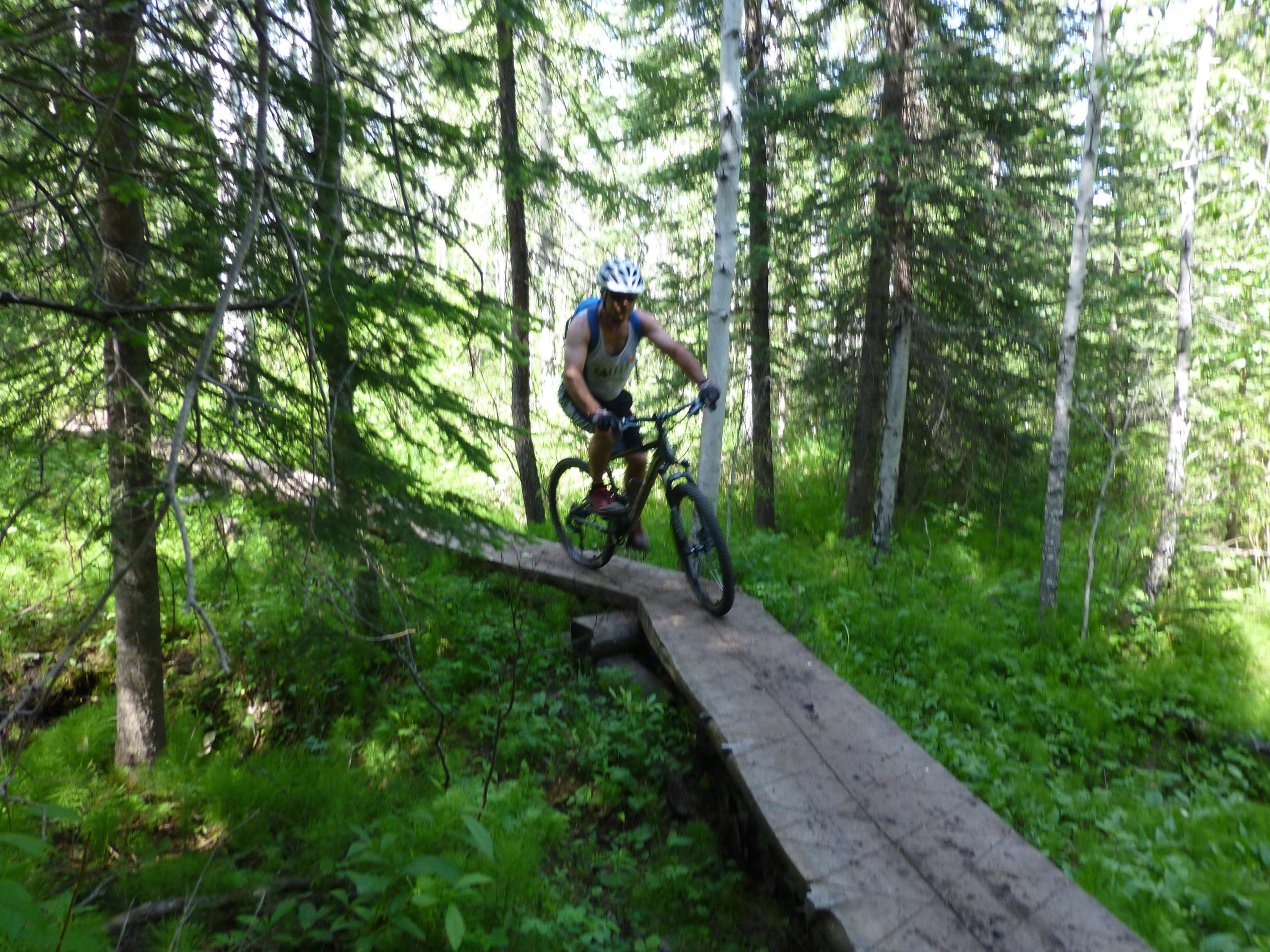 A mountain biker navigating a wooden plank path through a dense forest, surrounded by lush greenery and tall trees, with sunlight filtering through the branches. Happy Creek Trail System mountain bike trail.