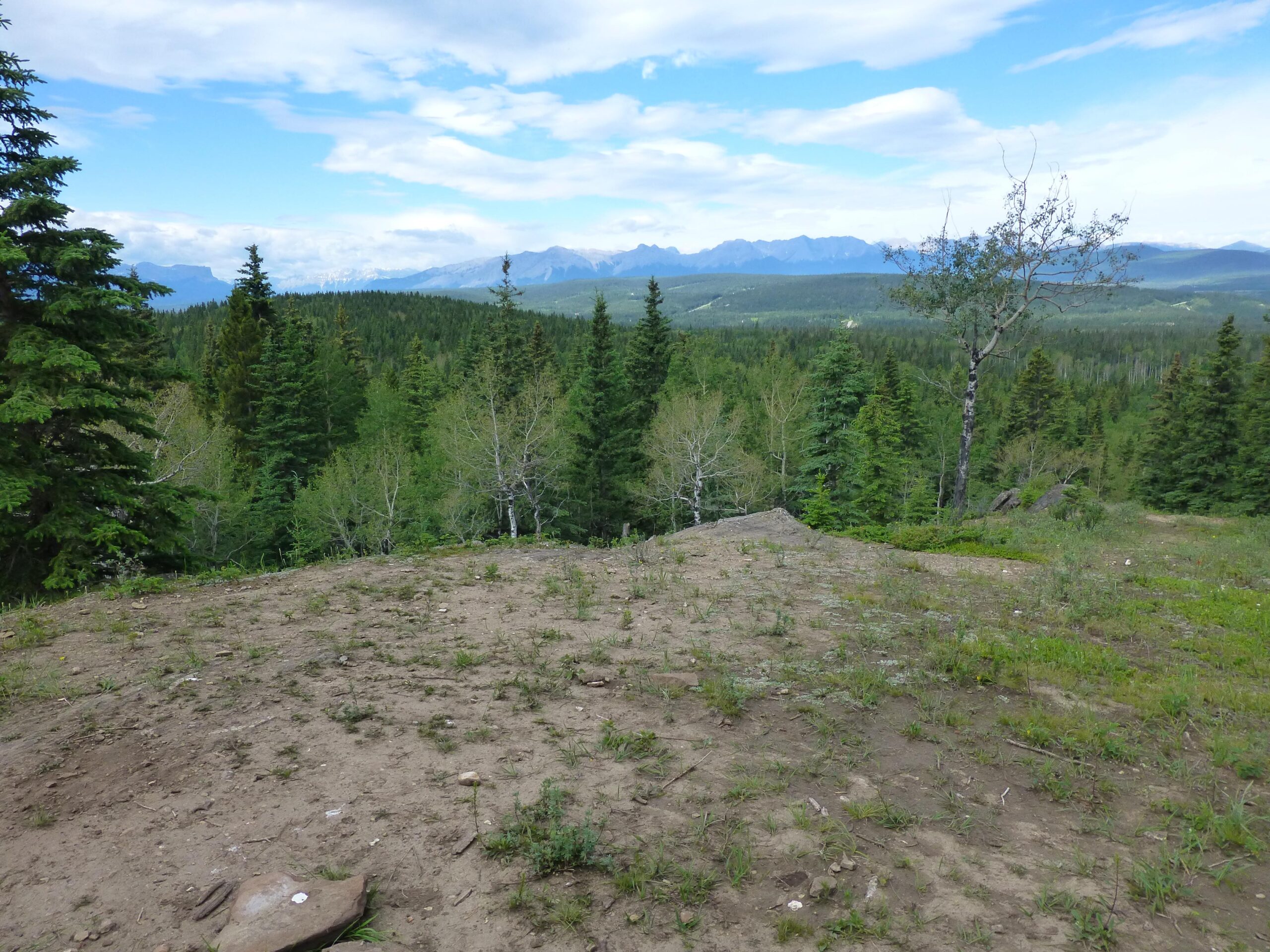 A scenic view of a forested landscape with a rocky foreground, lush green trees, and distant mountains under a partly cloudy sky. The image captures the natural beauty and serenity of the wilderness. Happy Creek Trail System mountain bike trail.