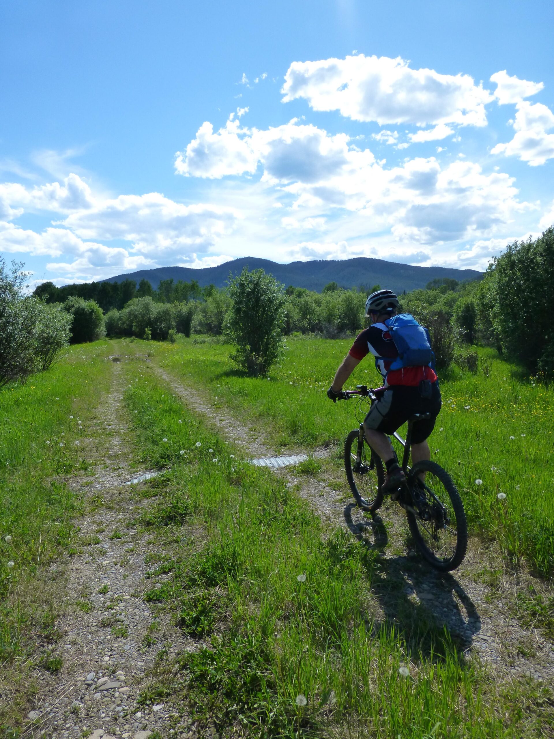 A cyclist riding along a dirt path through a lush green landscape with mountains in the background under a blue sky dotted with clouds. Joachim Valley Trail mountain bike trail.