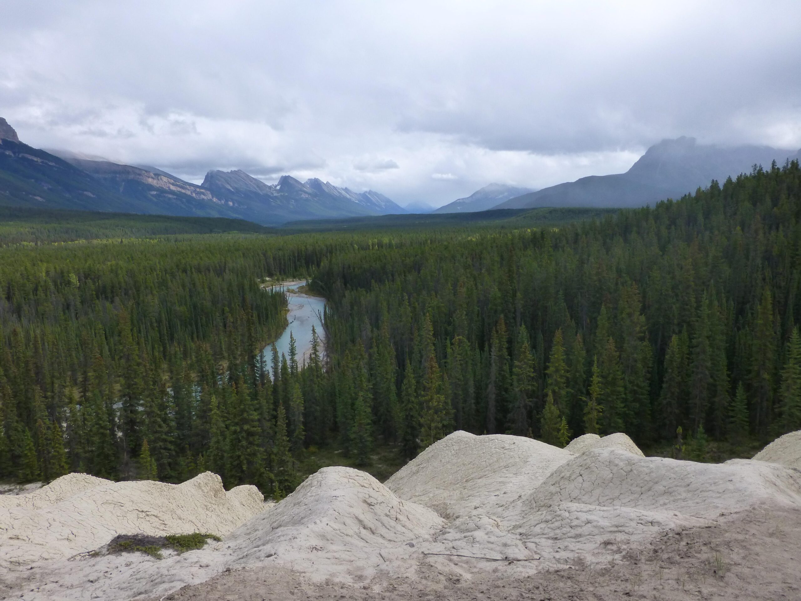 A panoramic view of a lush green forest with a winding river flowing through it, surrounded by a range of mountains under a cloudy sky. In the foreground, there are sandy, eroded hills, enhancing the natural beauty of the landscape. Lower Fryatt mountain bike trail.