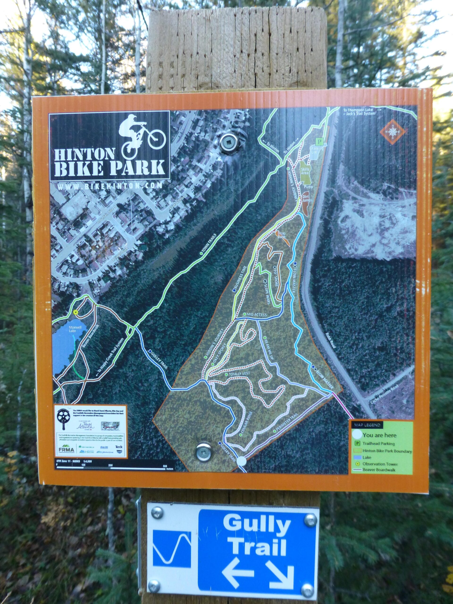 Map of Hinton Bike Park, displaying trails for biking and hiking. The map shows various routes, including the Gully Trail, with markings indicating the user's current location and features like parking areas and observation points. The background includes trees, highlighting the natural setting of the park.