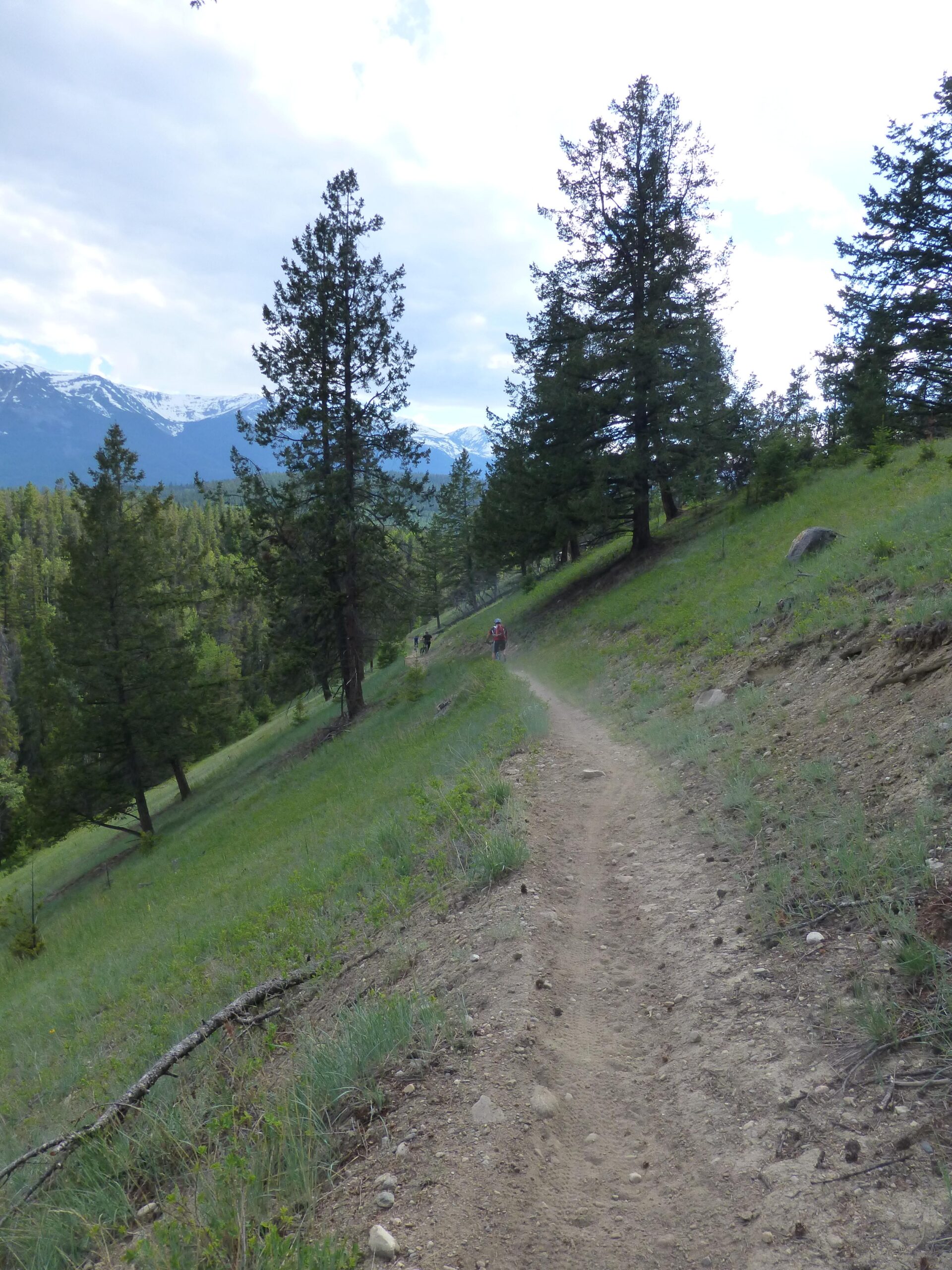 A winding dirt path through a green hillside forest, flanked by tall trees and mountains in the background. The sky is partly cloudy, and a few hikers can be seen in the distance along the trail. Pyramid Bench mountain bike trail.