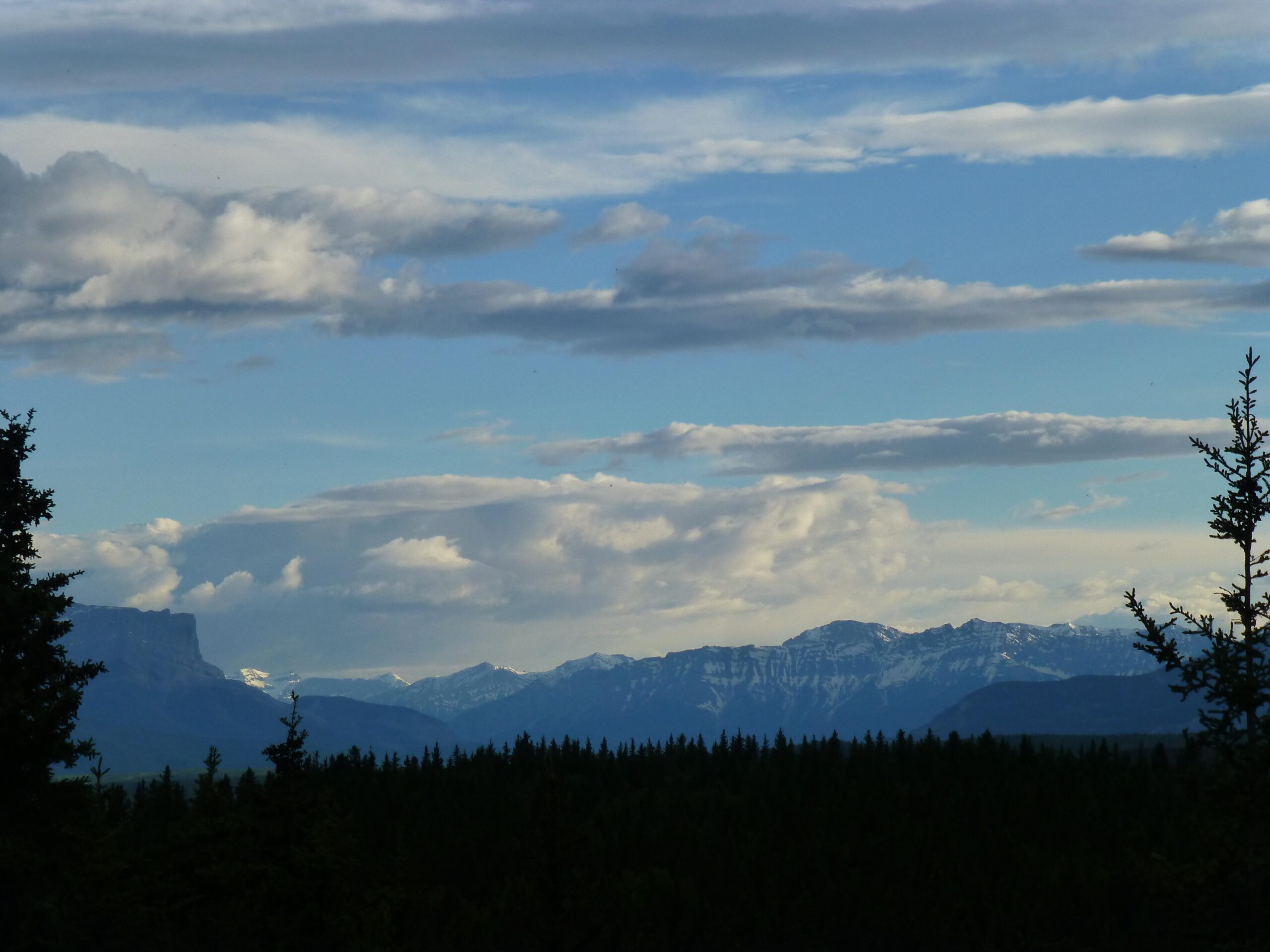 A panoramic view of mountains under a partly cloudy sky, with lush evergreen trees in the foreground and snow-capped peaks visible in the distance. The scene captures the natural beauty of a serene landscape. Happy Creek Trail System mountain bike trail.