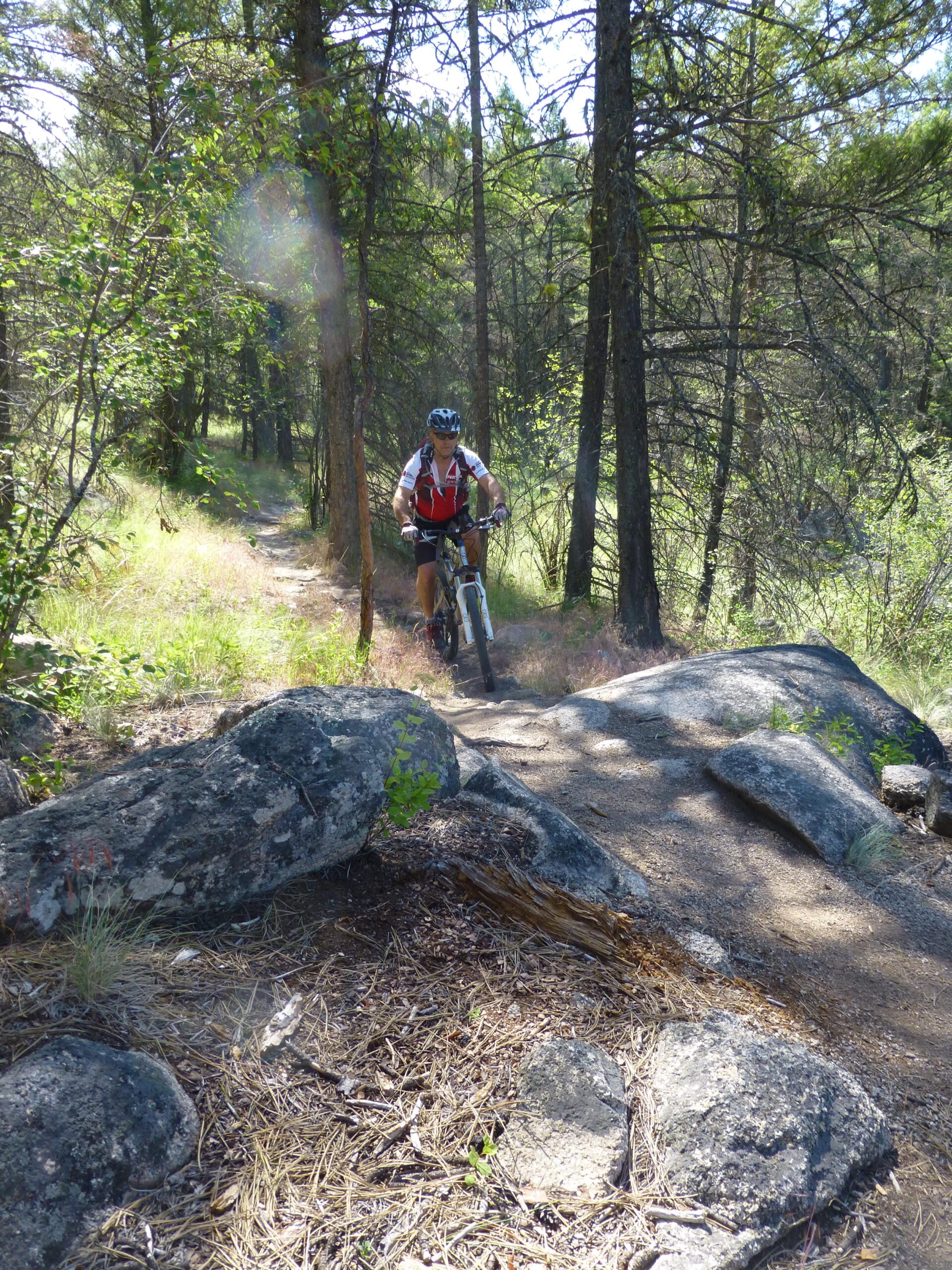 A mountain biker navigating a dirt trail through a forest, surrounded by trees and large rocks, on a sunny day. Ellison Park mountain bike trail.