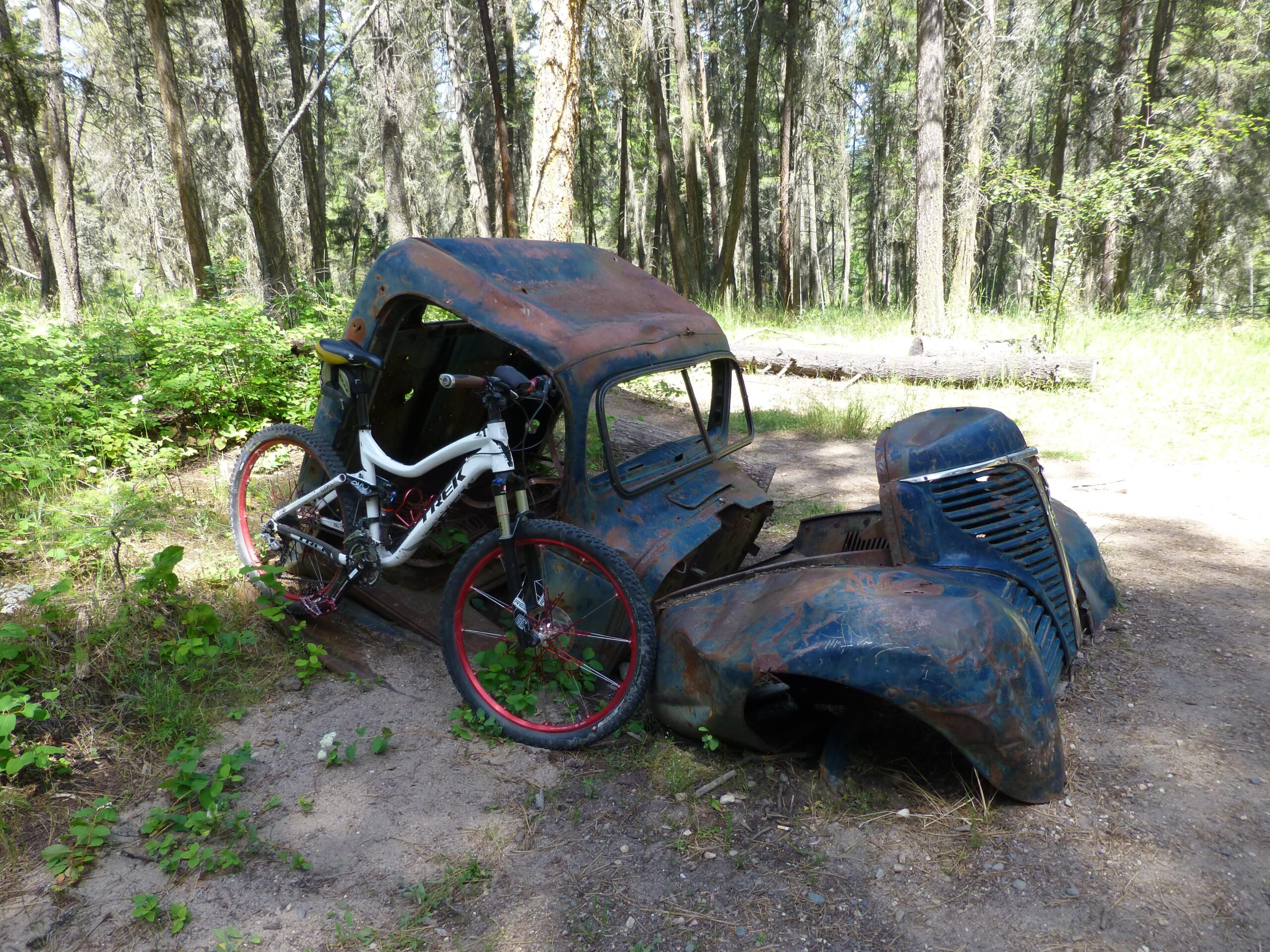An old, rusted blue truck shell partially hidden in a forest, with a mountain bike leaning against it. Surrounding the truck are lush green plants and trees, creating a serene natural setting. Ellison Park mountain bike trail.