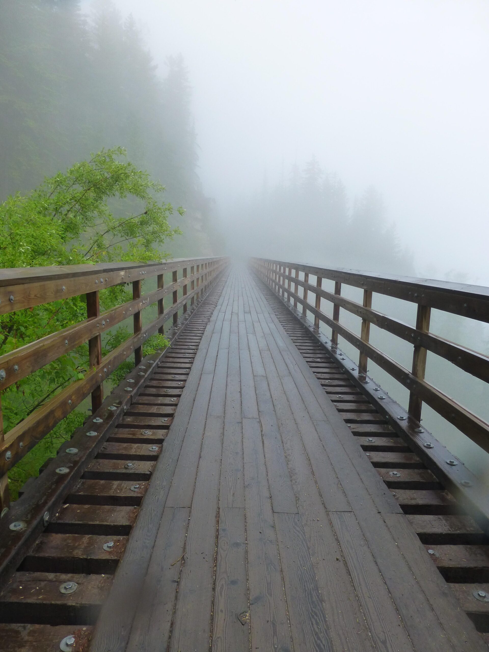 A wooden bridge surrounded by fog, leading into the distance with tall trees partially obscured by mist on either side. The bridge's planks are wet, suggesting recent rain, and the atmosphere is calm and serene. Kettle Valley Railway Trail (KVR) Myra Canyon to Penticton return mountain bike trail.