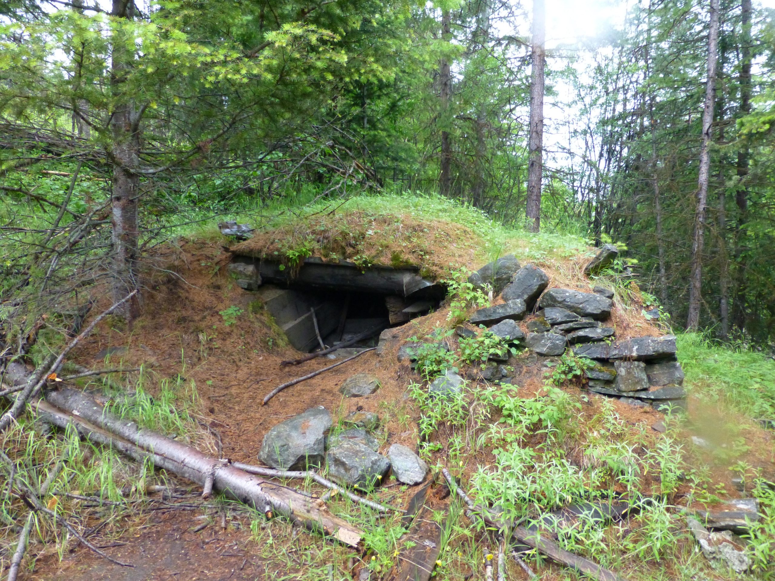 An overgrown, mossy hillside with a partially hidden stone structure at its base, surrounded by lush green vegetation and trees in a forested area. Kettle Valley Railway Trail (KVR) Myra Canyon to Penticton return mountain bike trail.