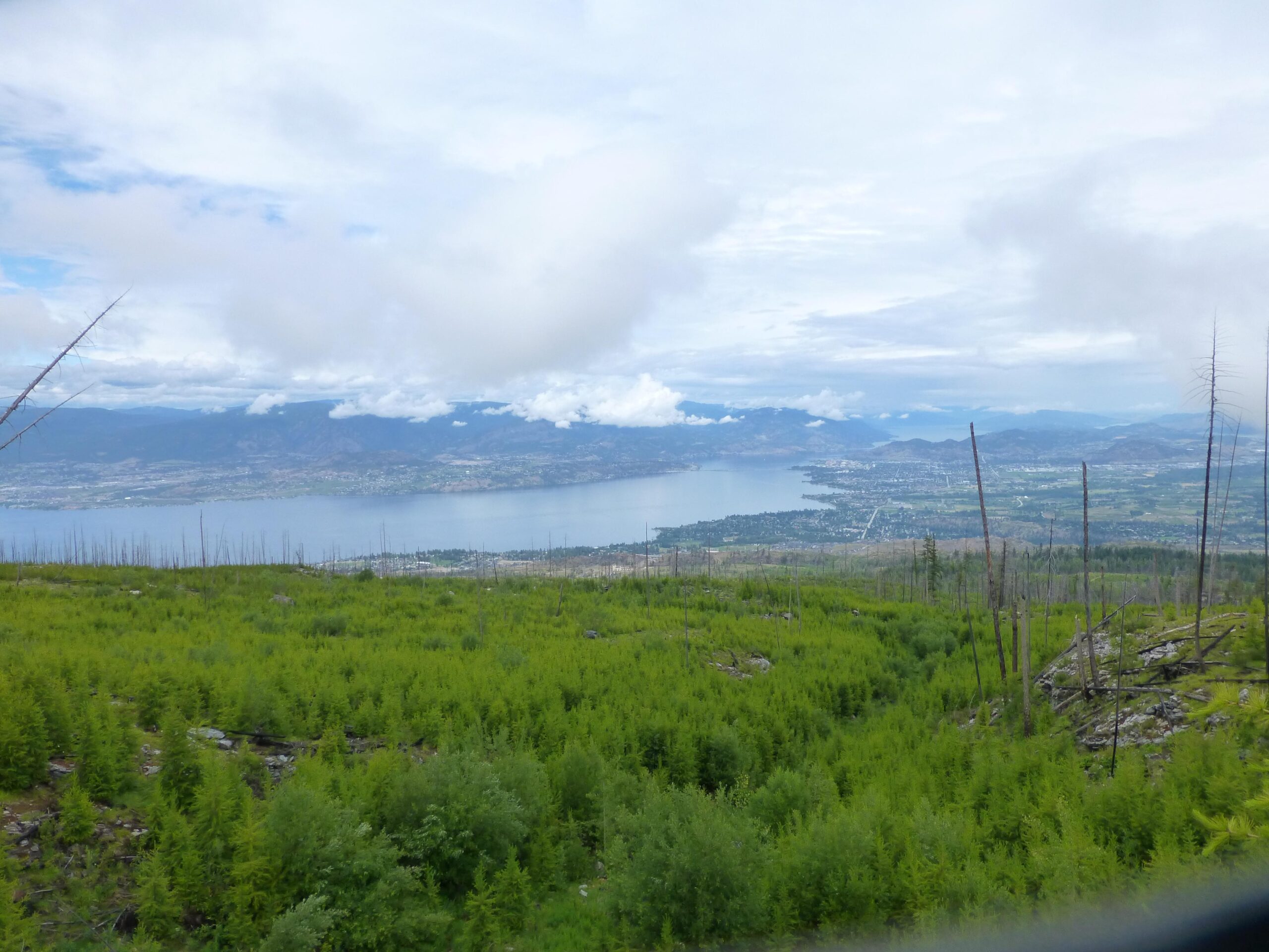 A scenic view of a lake surrounded by mountains under a partly cloudy sky. In the foreground, lush green vegetation contrasts with the barren tree stumps of a recently disturbed area. The serene lake reflects the clouds, and a town can be seen along the shoreline. Kettle Valley Railway Trail (KVR) Myra Canyon to Penticton return mountain bike trail.