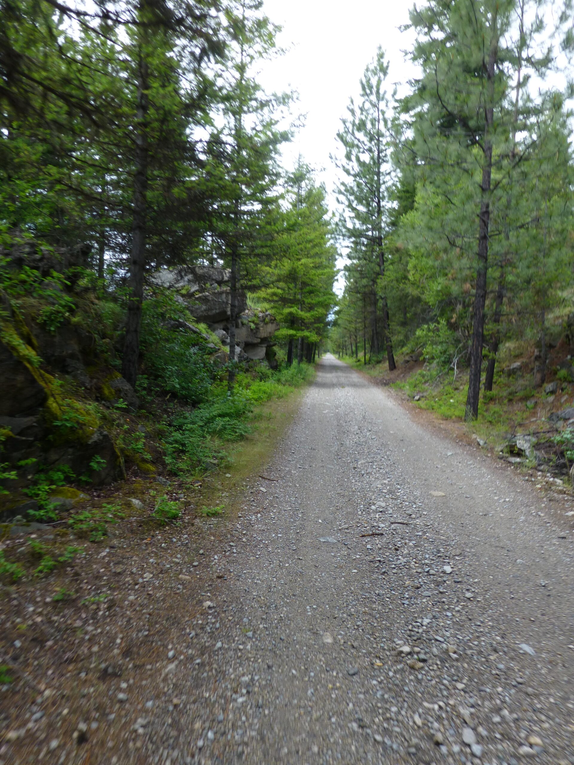 A gravel path winding through a lush forest, lined with tall green pine trees and rocky outcrops on either side. The scene is serene and captures a sense of tranquility in nature. Kettle Valley Railway Trail (KVR) Myra Canyon to Penticton return mountain bike trail.