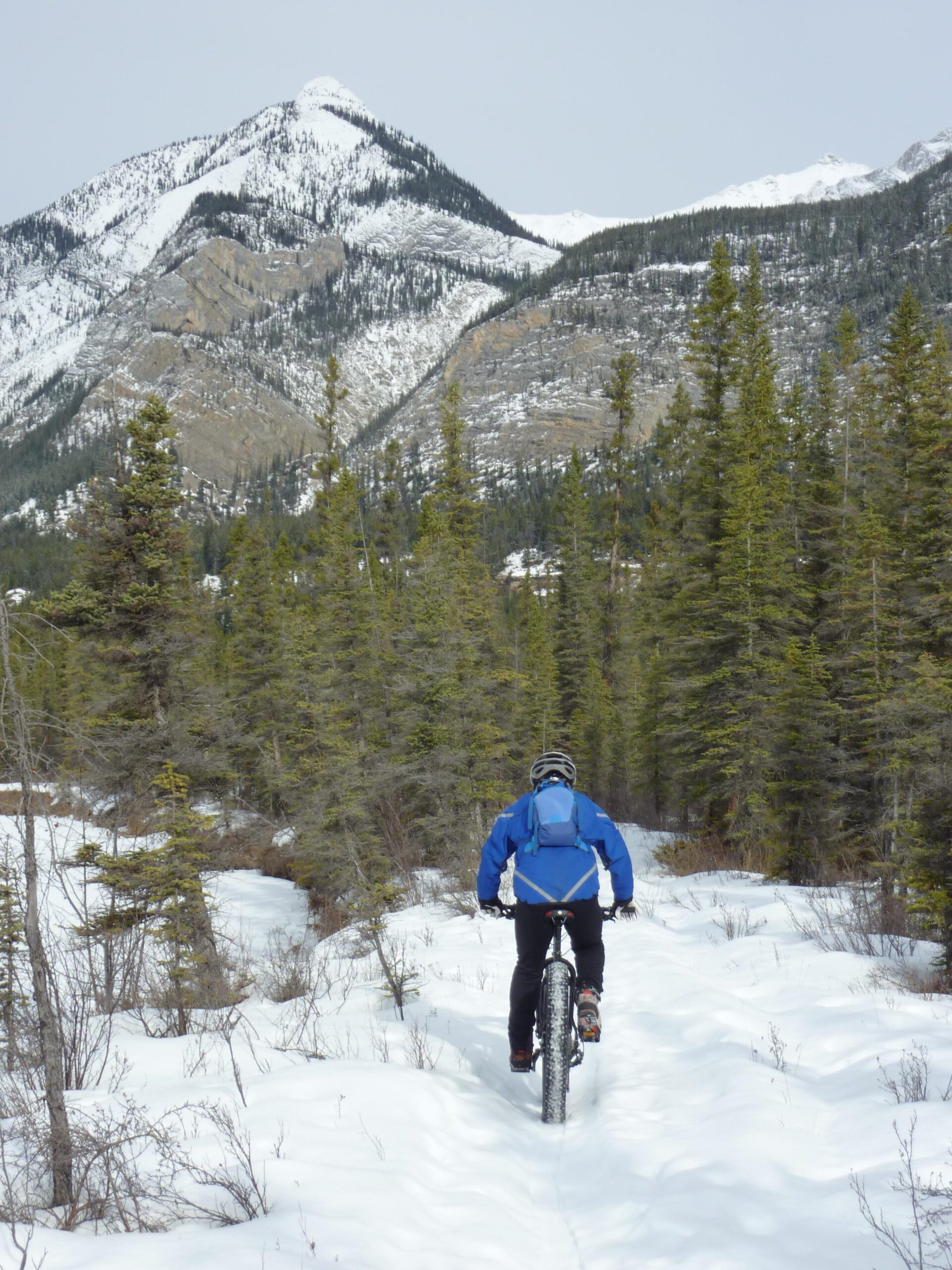 A person riding a fat bike on a snow-covered trail surrounded by evergreen trees, with snow-capped mountains in the background under a cloudy sky. The Overlander mountain bike trail.