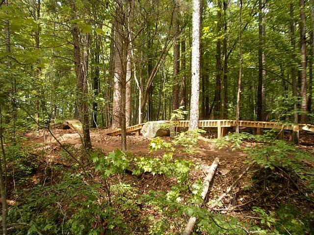 A wooded area featuring tall trees and a wooden pathway winding through the forest. The ground is covered with leaves and small plants, and there are boulders and fallen branches scattered throughout the scene. Kernersville MTB park mountain bike trail.