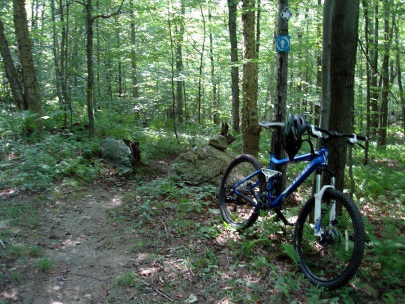 Trek Fuel EX 5: A blue mountain bike with a helmet resting on the handlebars is parked next to a rock formation on a shaded dirt trail in a lush green forest. Trees surround the area, and a trail marker can be seen on a nearby tree, indicating the path for cyclists.