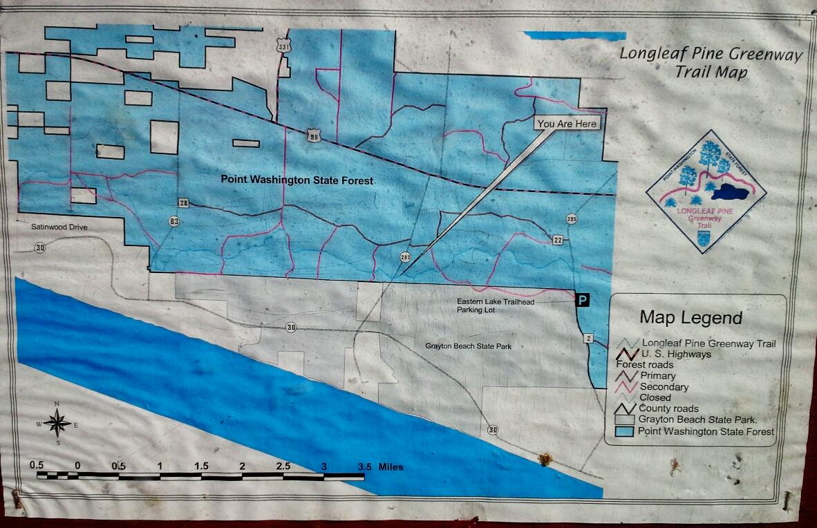 Map depicting the Longleaf Pine Greenway Trail in Point Washington State Forest, showing trails, highways, and nearby landmarks such as Grayton Beach State Park and the Eastern Lake Trailhead Parking Lot. The map includes a legend for different types of trails and roads, with a marked "You Are Here" location. Longleaf Pine Greenway Trail mountain bike trail.