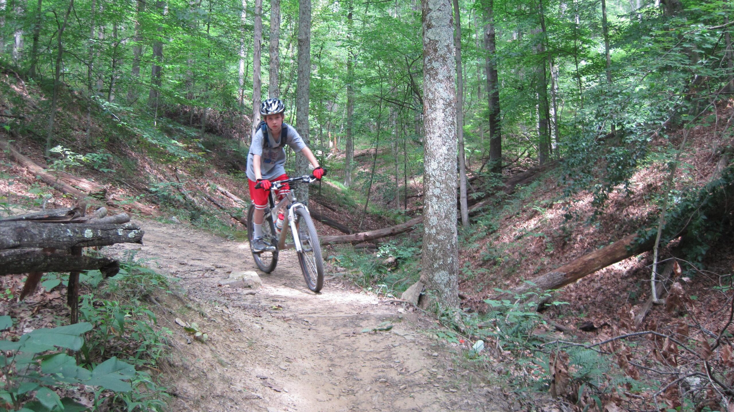 A person riding a mountain bike along a dirt trail in a lush green forest. The scene features tall trees and a mixture of sunlight and shadows on the trail, with fallen logs and foliage on either side. The rider is wearing a helmet and gloves, and is focused on navigating the path. Brown County Park mountain bike trail.