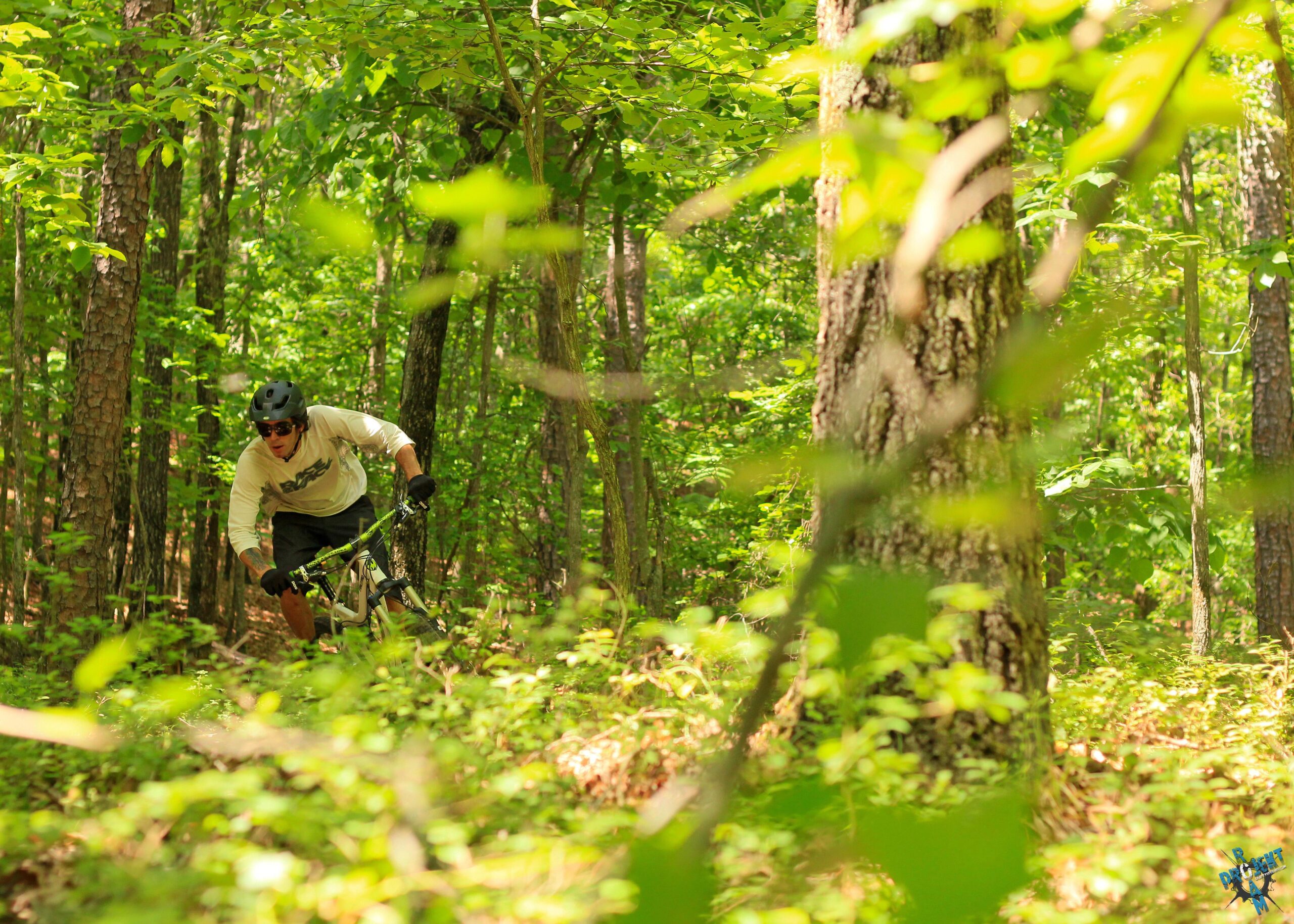 A mountain biker navigating through a lush, green forest, leaning into a turn on a dirt path surrounded by trees and foliage. Oak Mountain State Park mountain bike trail.