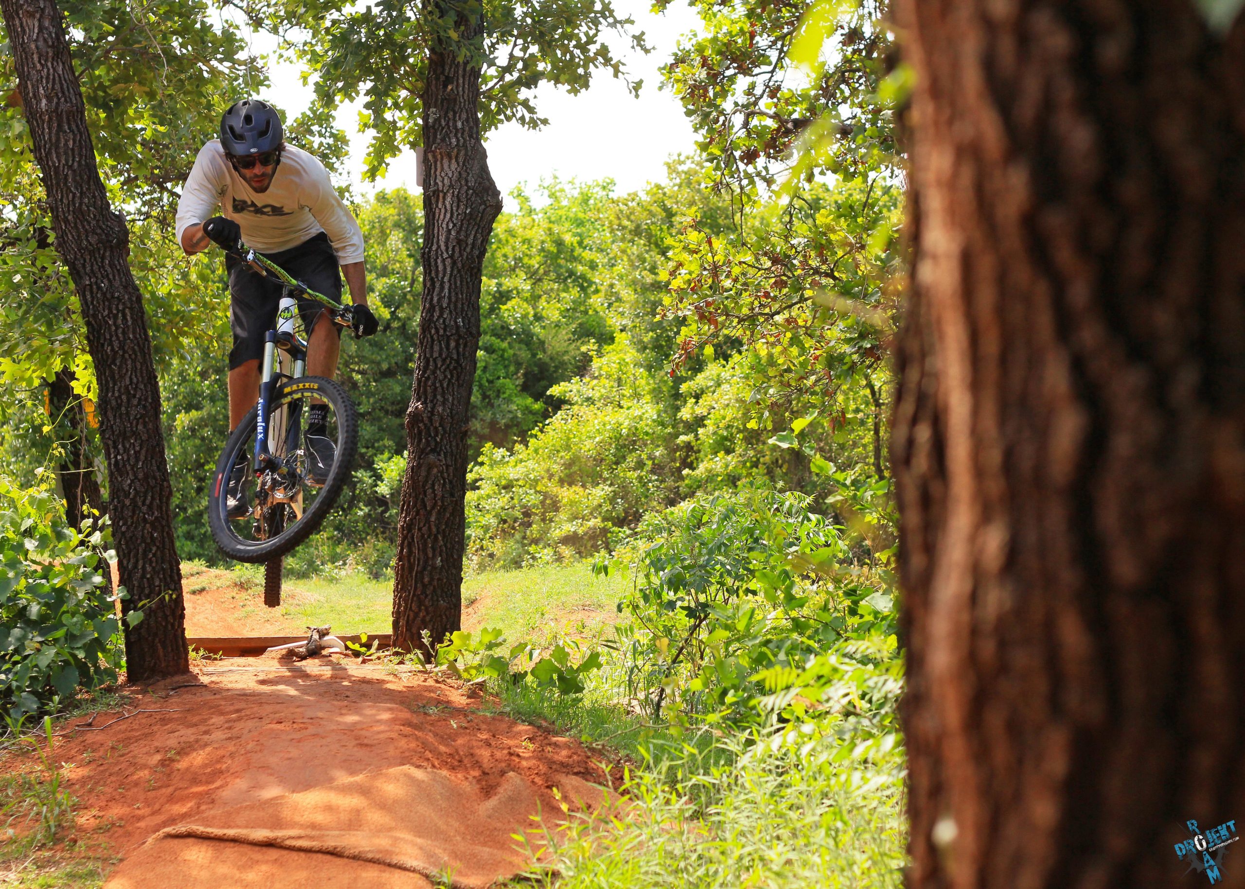 A mountain biker in a helmet jumps over a dirt ramp between two trees in a forested area, surrounded by greenery on a sunny day. Lake Stanley Draper mountain bike trail.