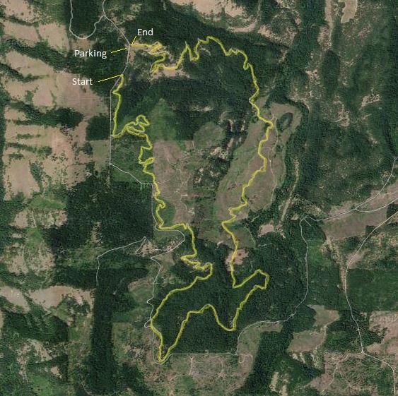 Map showing a hiking or biking trail with marked start and end points, as well as a parking area. The trail is highlighted in yellow against a green background of forests and clearings. Whoopdee mountain bike trail.
