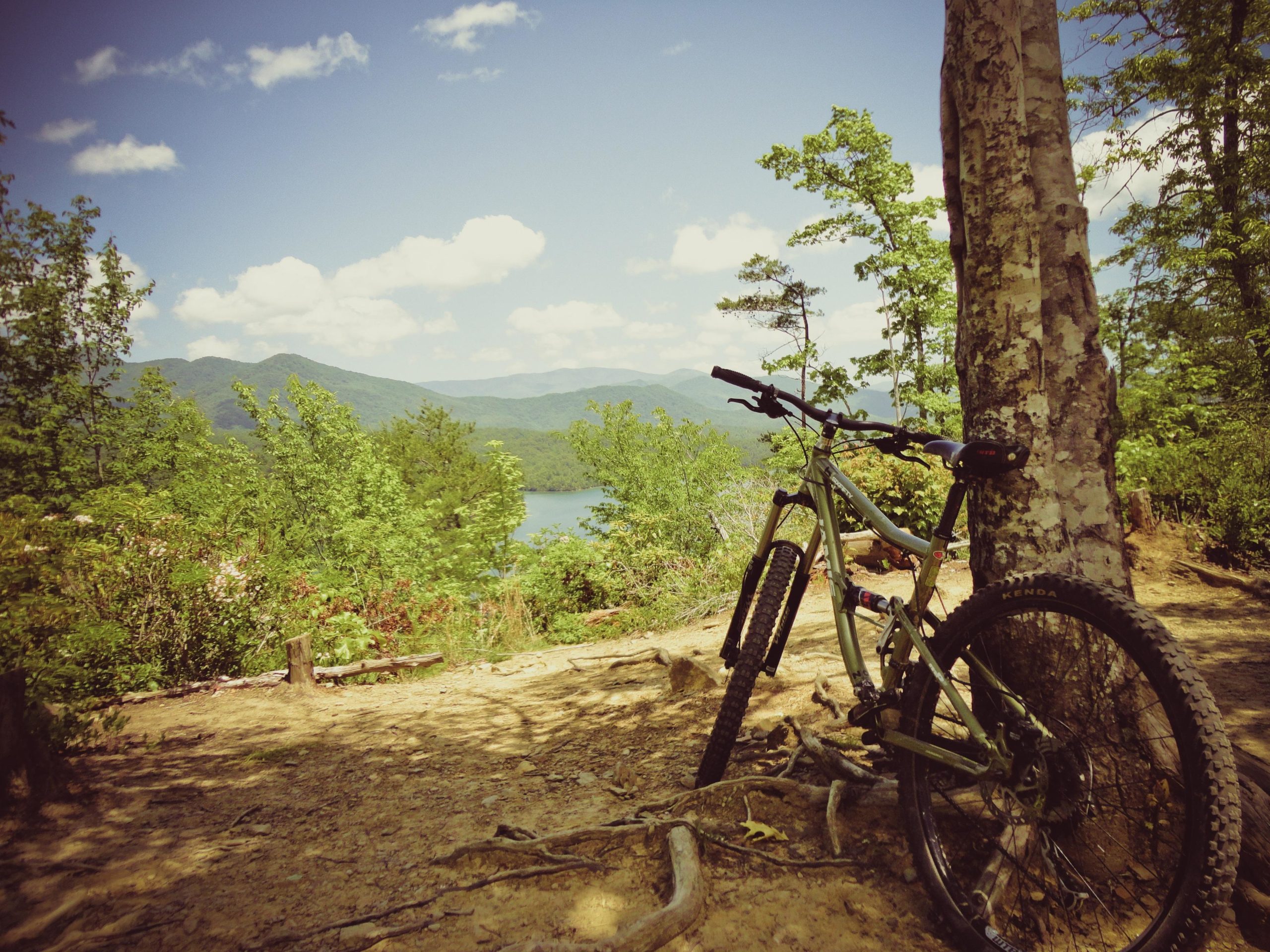 A mountain bike leaning against a tree, set against a scenic view of mountains and a lake, with a clear blue sky and fluffy white clouds above. Lush greenery surrounds the area, indicating a vibrant outdoor environment. Tsali Recreation Area mountain bike trail.