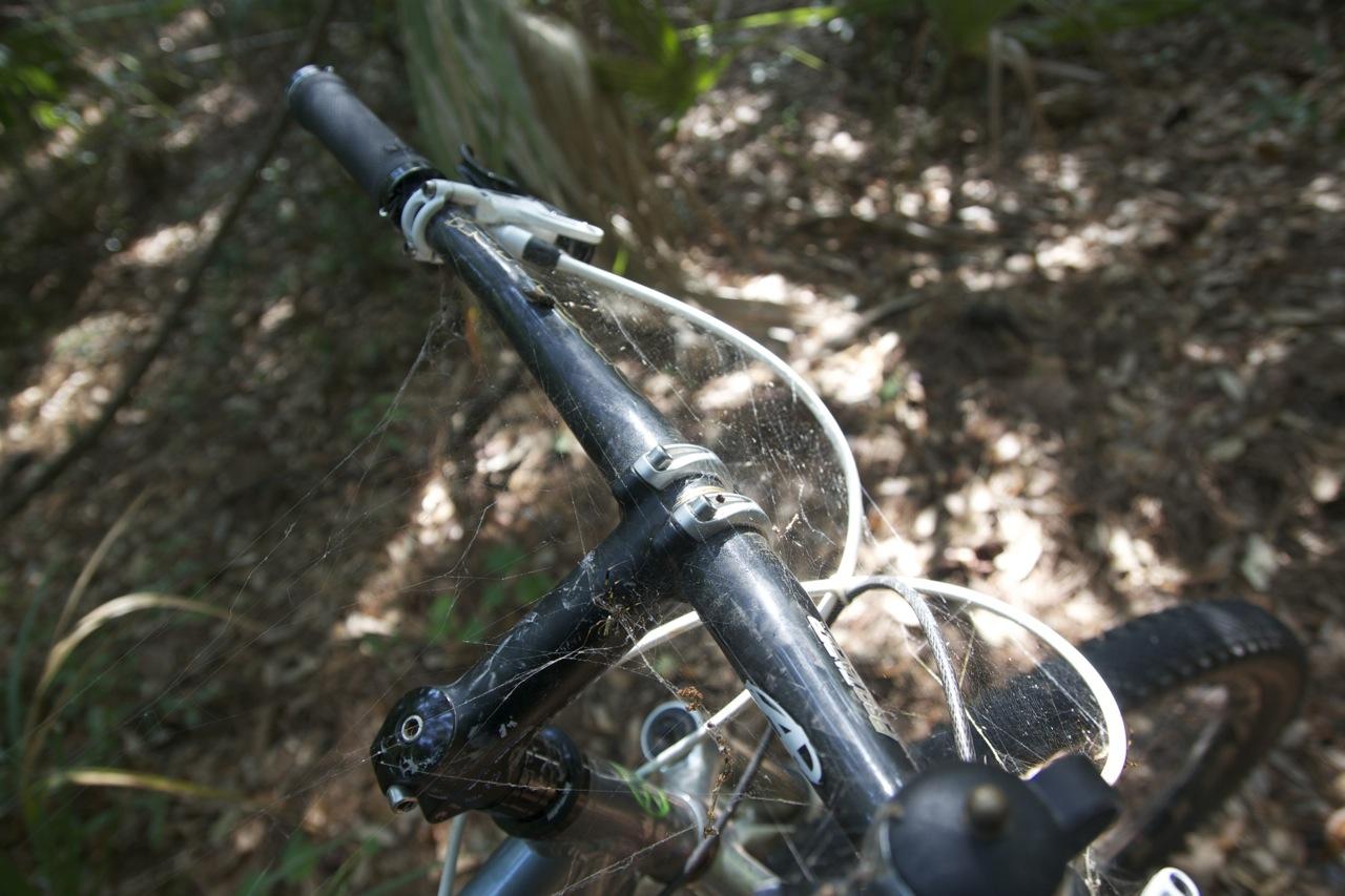 Close-up view of a bicycle handlebar covered in spider webs, set against a blurred natural background of leaves and dirt. The handlebar is black, with silver clamps visible and some dirt, indicating it has been unused for a while. Blythe Island Off-Road Bicycle Trail mountain bike trail.