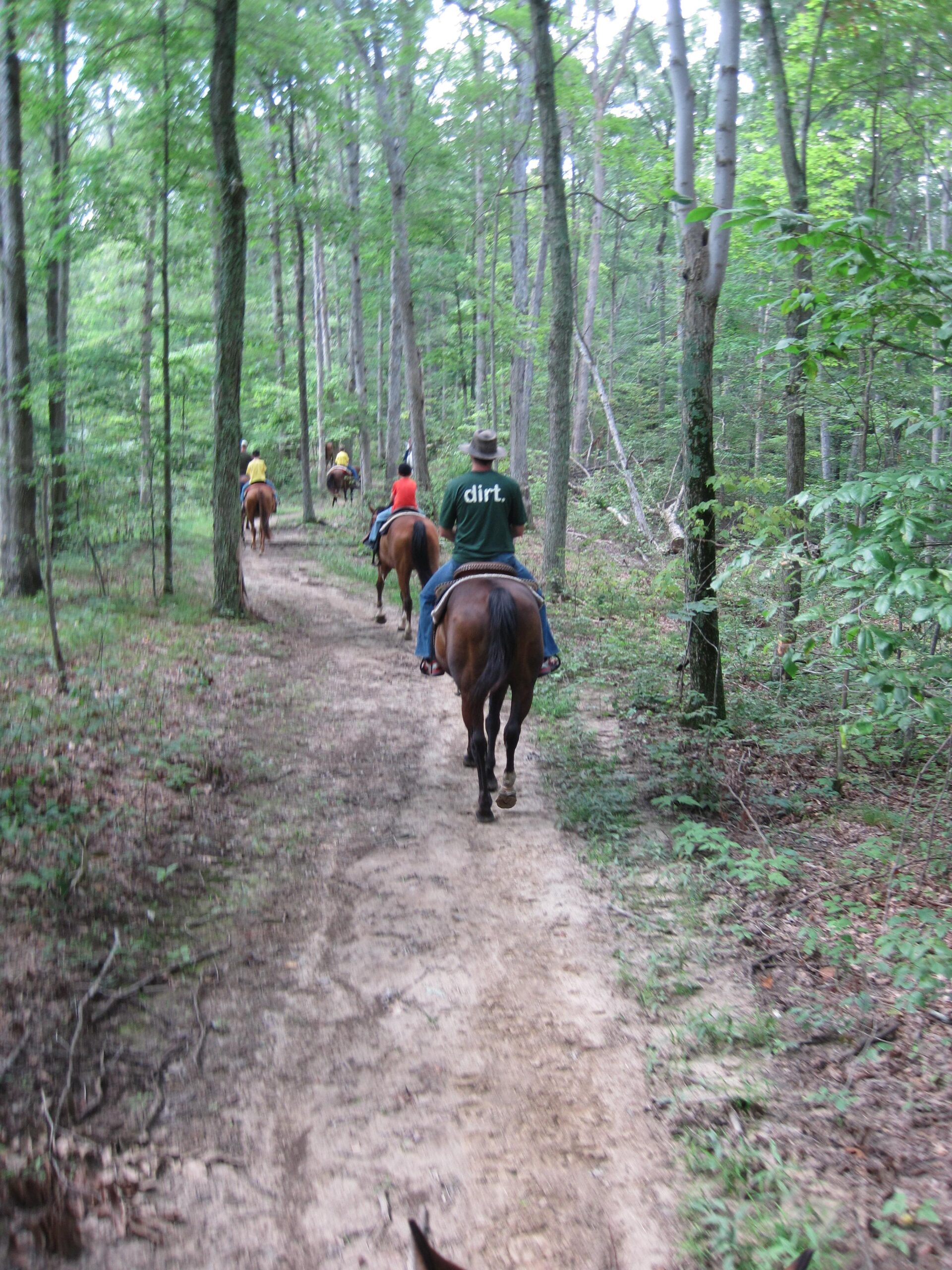 A group of four individuals riding horses along a dirt path through a dense forest, surrounded by tall trees and lush greenery. The riders, seen from behind, are dressed casually, with one wearing a hat and another in a shirt that says "dirt." The scene captures the tranquility of nature and the experience of horseback riding. Brown County Park mountain bike trail.