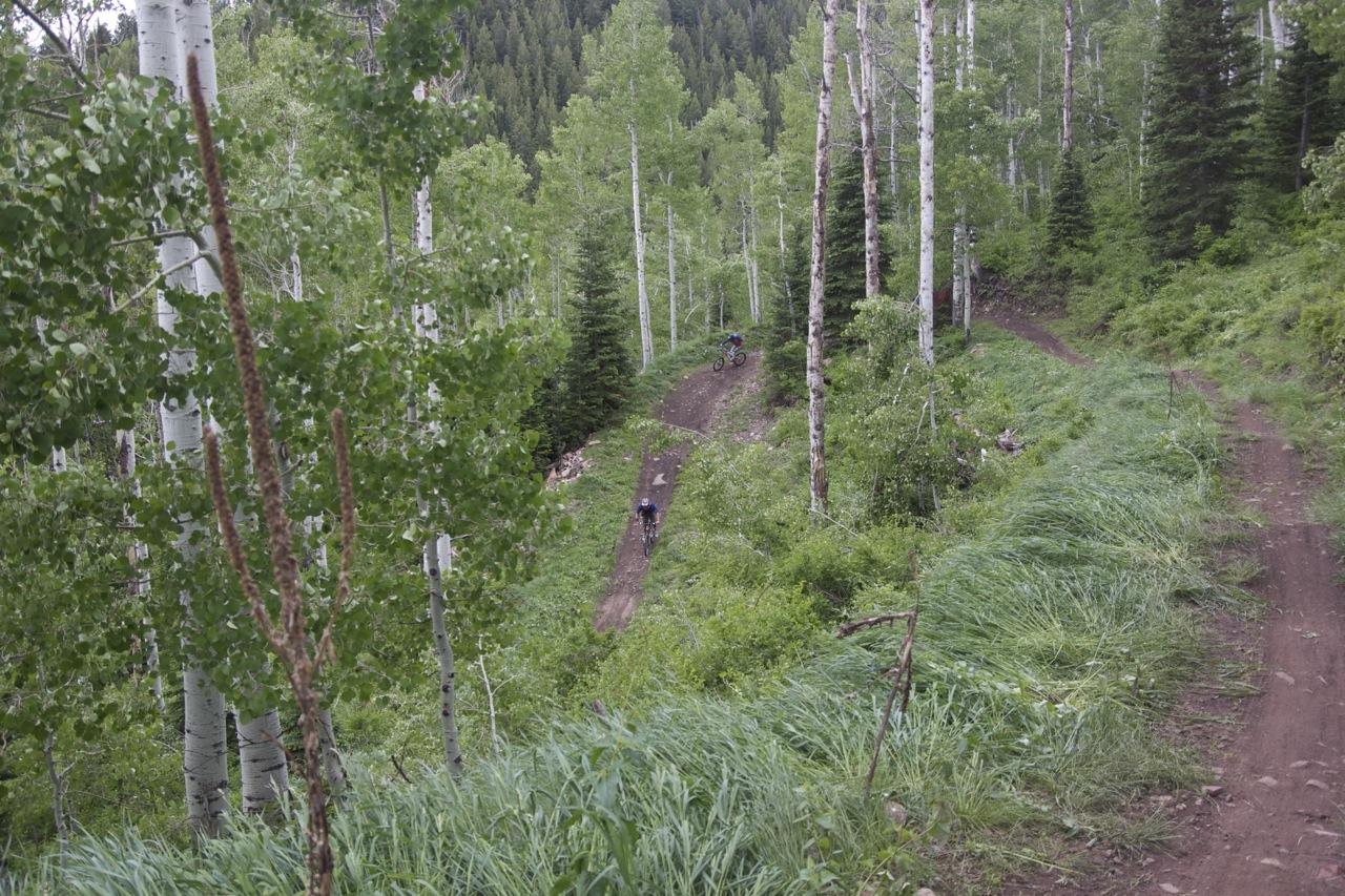 A dirt mountain biking trail winding through a lush green forest with aspen trees and tall grass. Two mountain bikers are visible on the trail, riding in different directions. The scene captures the beauty of outdoor recreation surrounded by nature. The Canyons Area mountain bike trail.