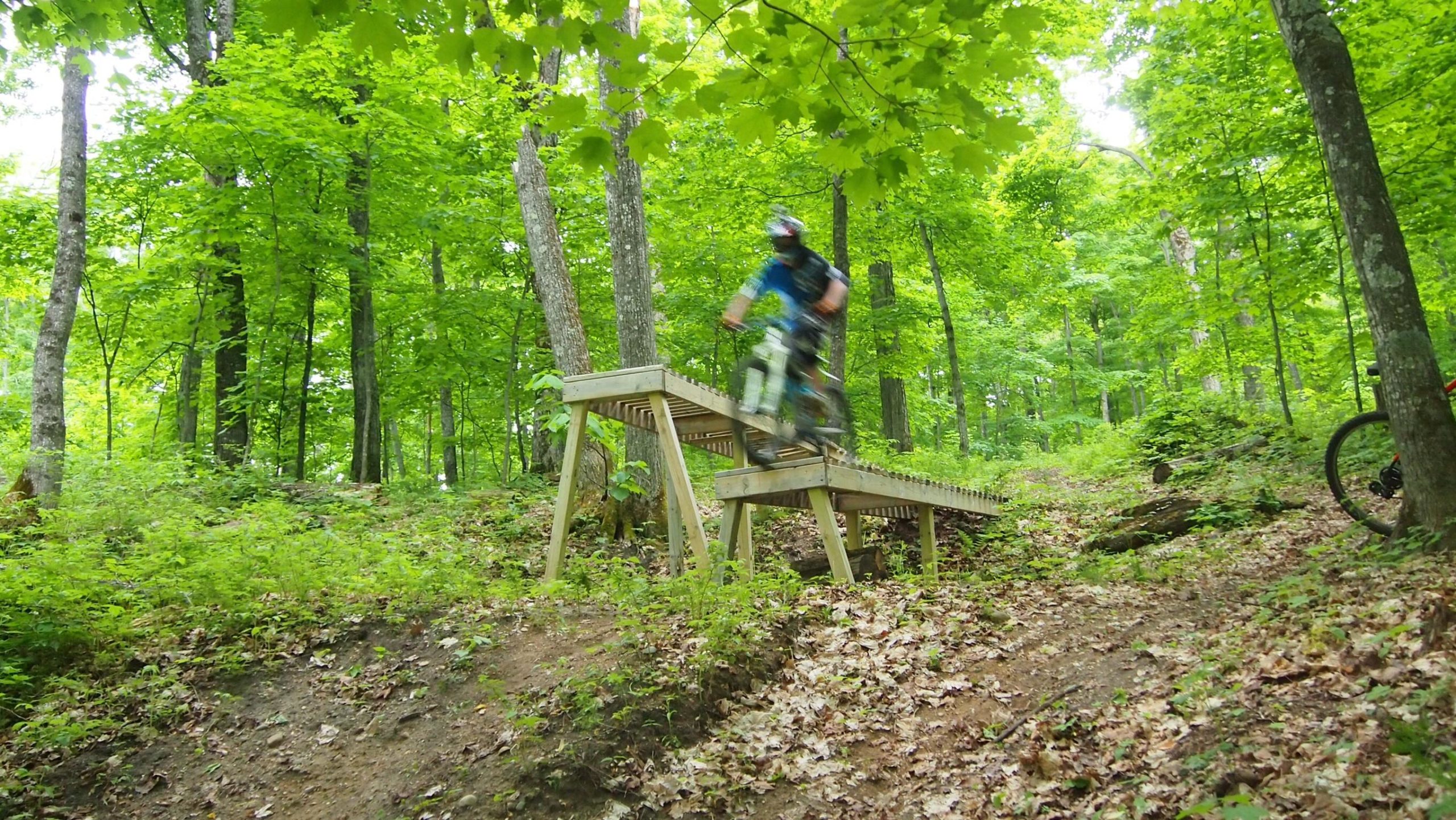 A mountain biker jumps off a wooden ramp in a lush green forest, surrounded by trees and foliage. The image captures the excitement of the ride with blurred motion, emphasizing the speed and sportiness of the activity. Boyne Highlands mountain bike trail.