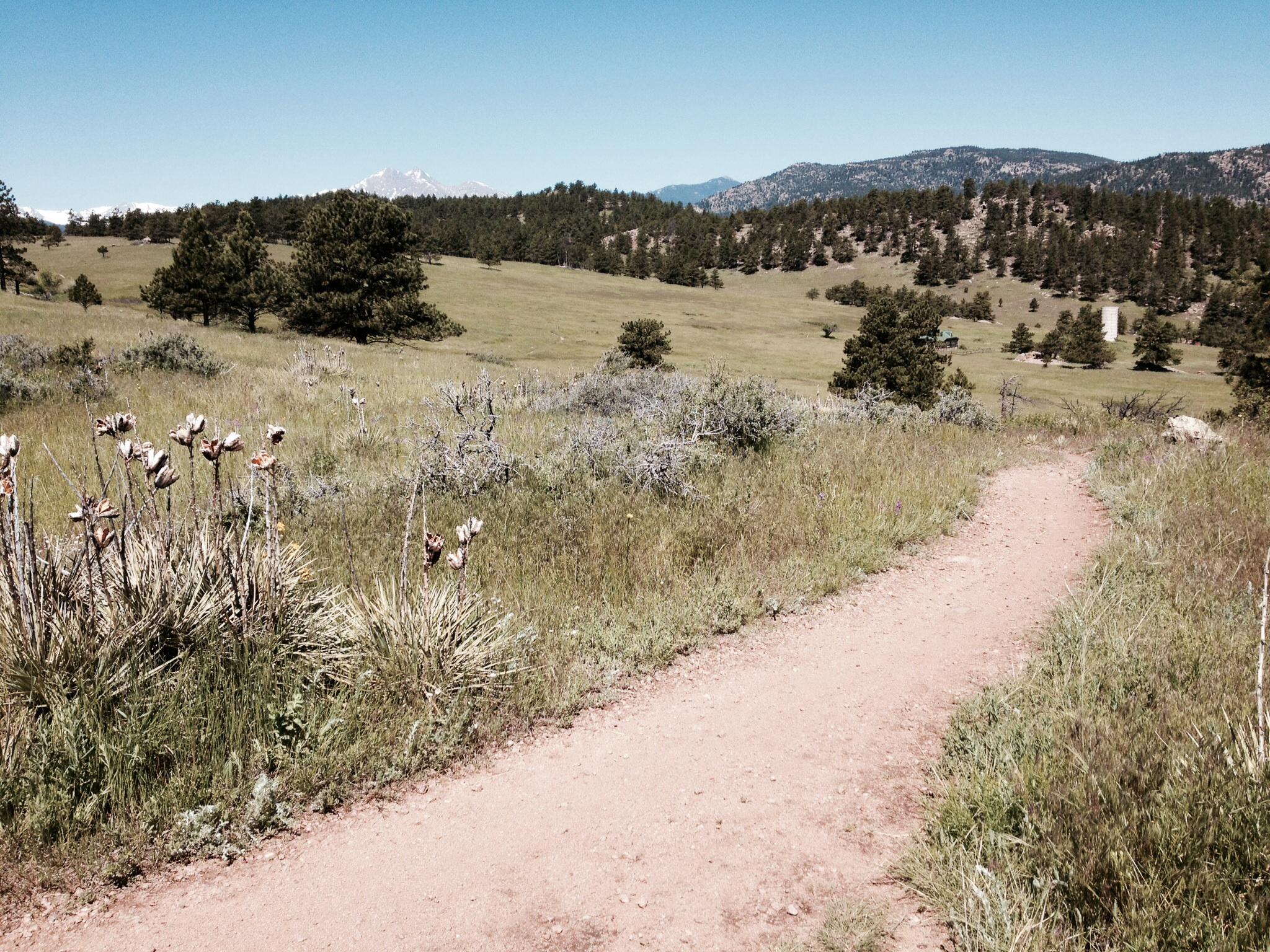A winding dirt path through a lush green meadow, with wildflowers and shrubs on the sides. In the background, rolling hills and snow-capped mountains under a clear blue sky. Hall Ranch mountain bike trail.