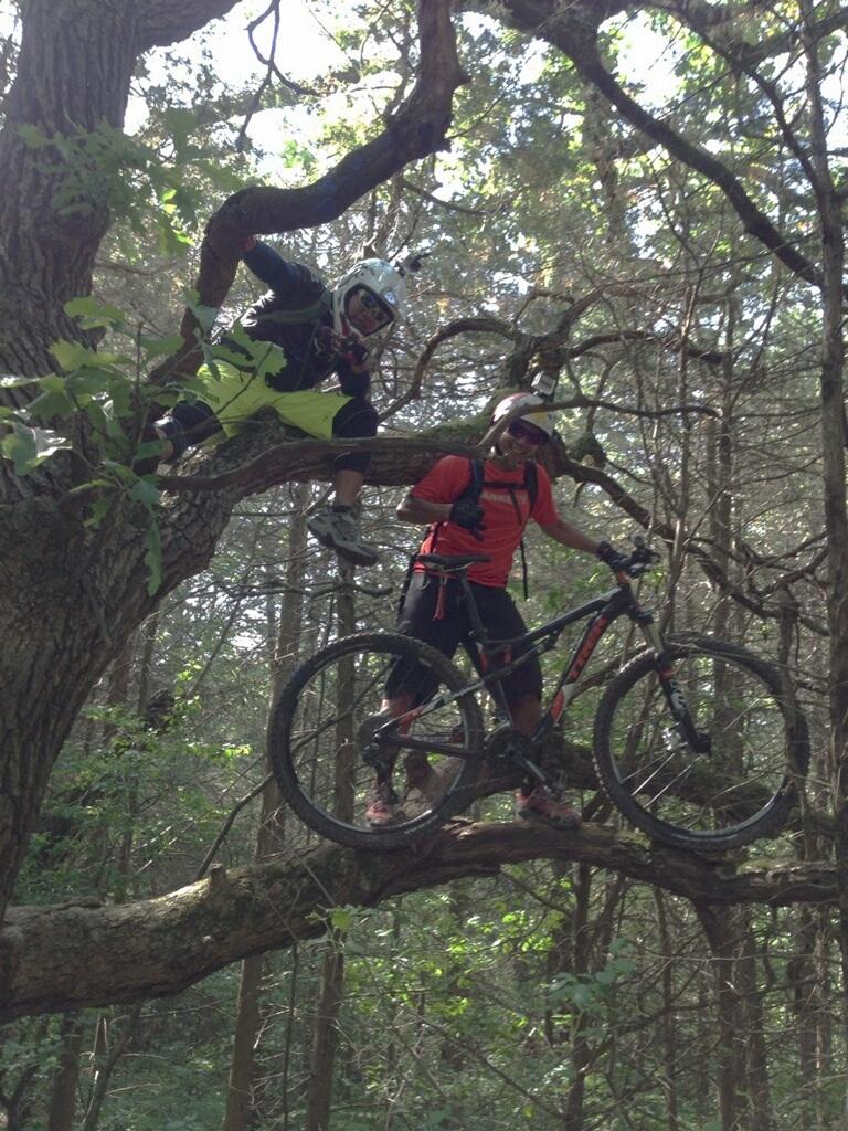 Two mountain bikers are perched on a low tree branch in a forested area. One biker is crouching on the branch, wearing a black helmet and brightly colored yellow gear, while the other, dressed in red, stands beside their bike on the same branch. Both are smiling and enjoying their adventurous moment amidst greenery and tree trunks in the background. Emma Carlin mountain bike trail.
