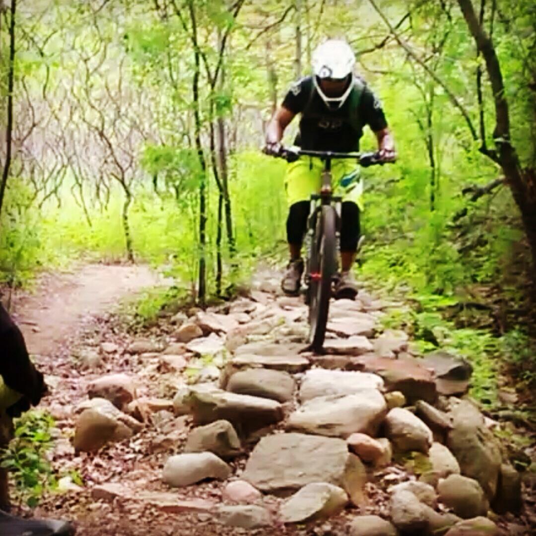 A mountain biker navigating a rocky trail in a lush, green forest. The rider is wearing a helmet and bright yellow shorts, focusing on maintaining balance as they ride over a stone pathway. The surrounding vegetation features trees and greenery, creating a natural and vibrant outdoor setting. Levis Mounds mountain bike trail.