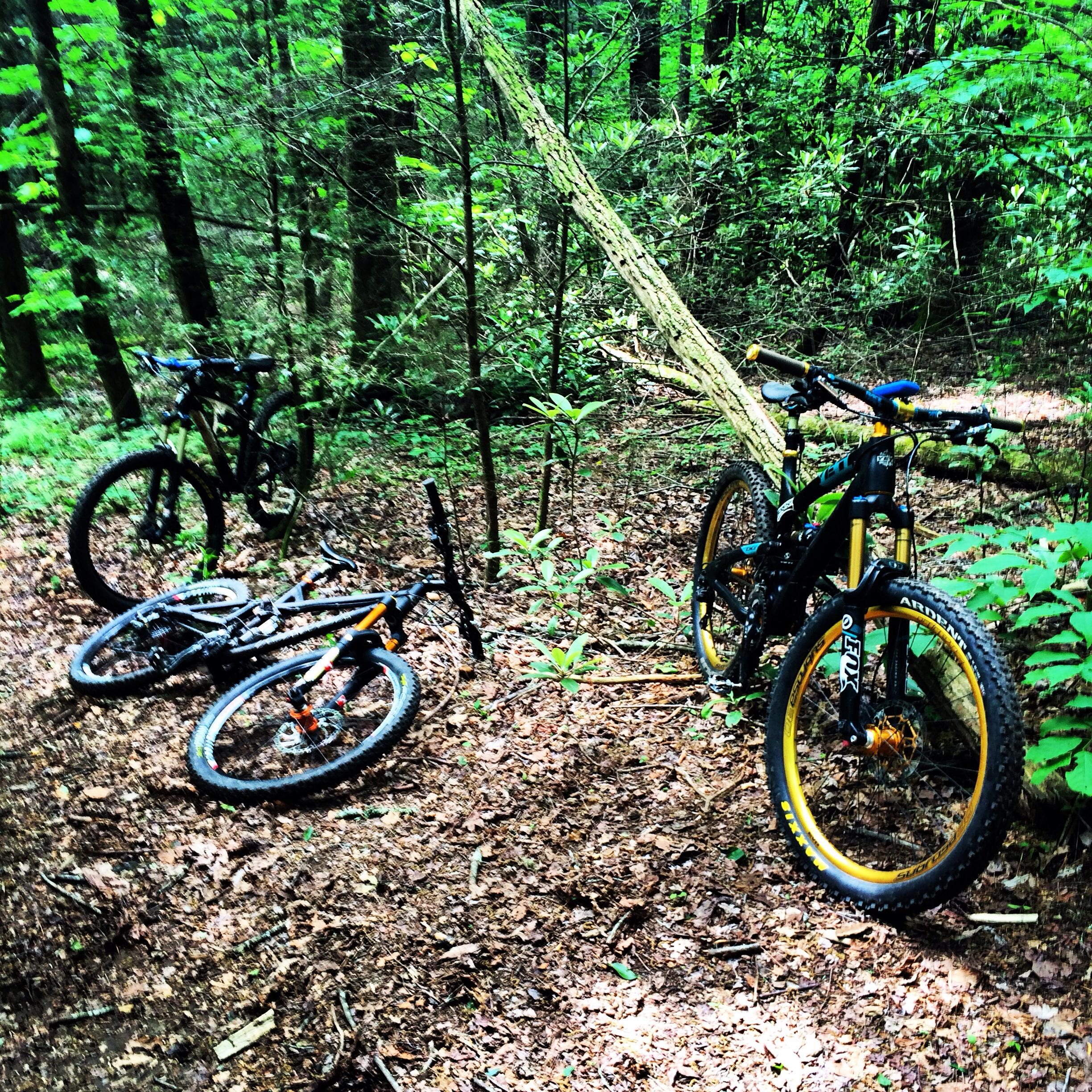 Alt text: A group of three mountain bikes resting on the ground in a wooded area, surrounded by lush green foliage and trees. Flat Creek Loop mountain bike trail.