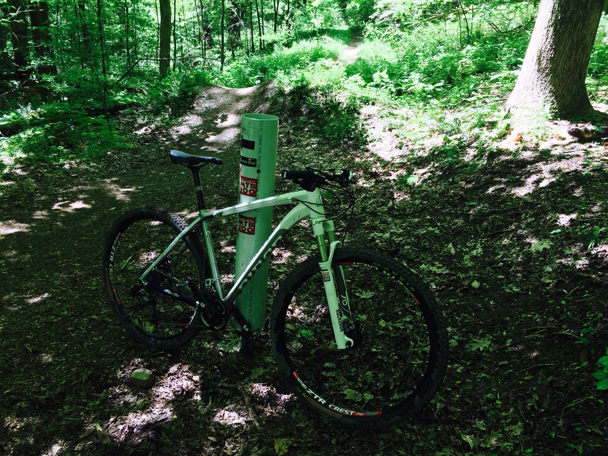 Niner Air 9: A mountain bike resting against a signpost in a lush green forest setting, with a winding dirt trail visible in the background. Sunlight filters through the leaves, creating a dappled effect on the ground covered in leaves and dirt.
