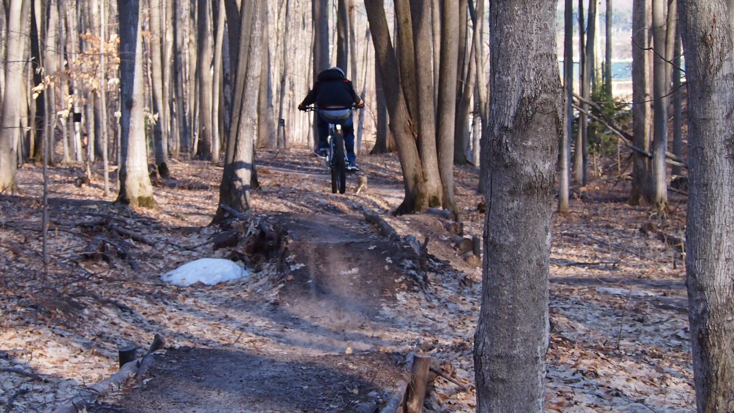 A person riding a mountain bike along a narrow dirt trail in a wooded area, surrounded by tall trees and fallen leaves on the ground. The cyclist is approaching a small jump on the trail, with sunlight filtering through the branches. Copper Ridge Freeride mountain bike trail.