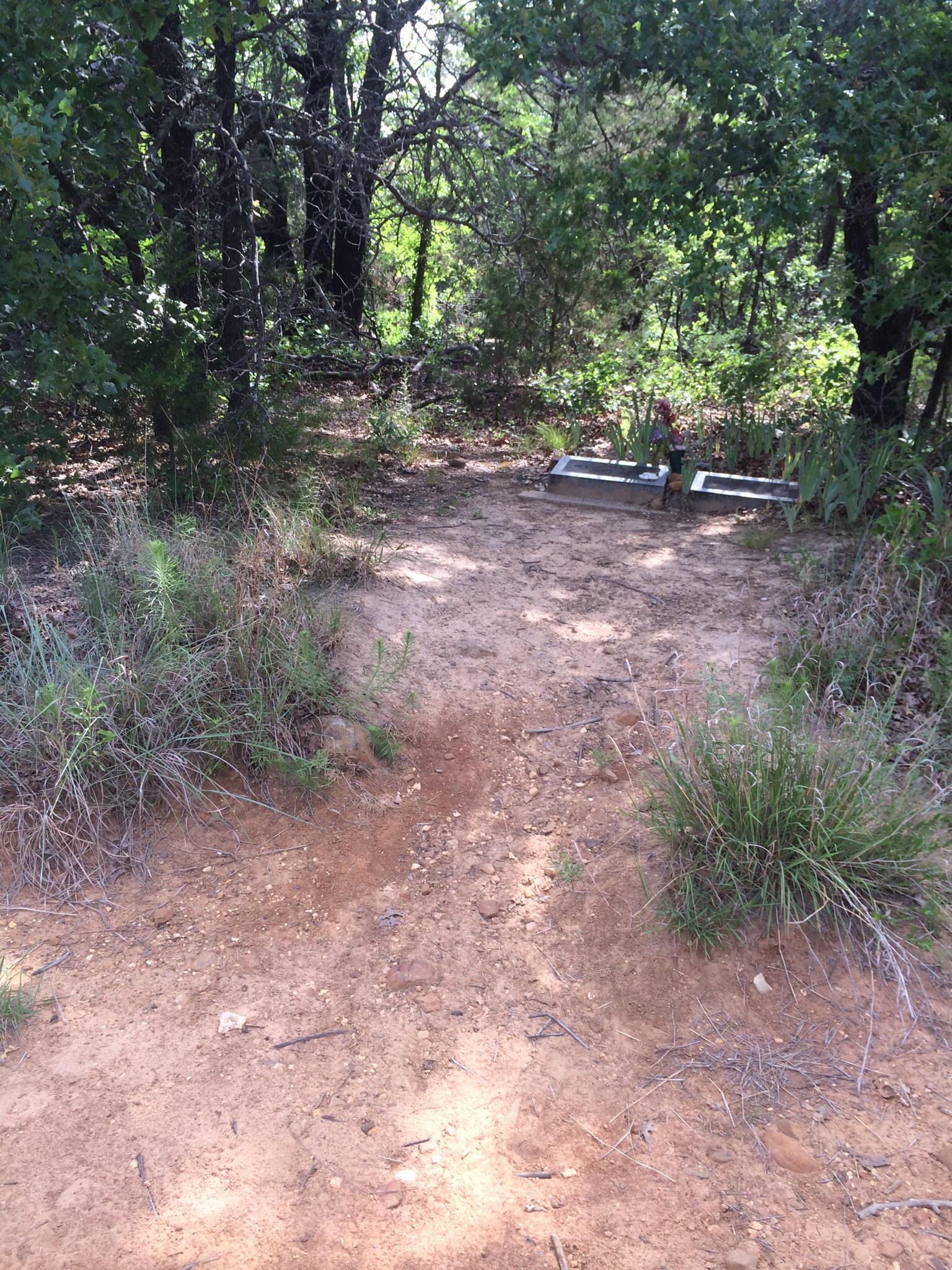 A narrow dirt path leading through a wooded area, with dense greenery and trees on either side. In the background, two raised planting beds are visible, surrounded by various plants and shrubs. The ground is dusty with scattered small rocks and twigs. Lake Murray State Park mountain bike trail.
