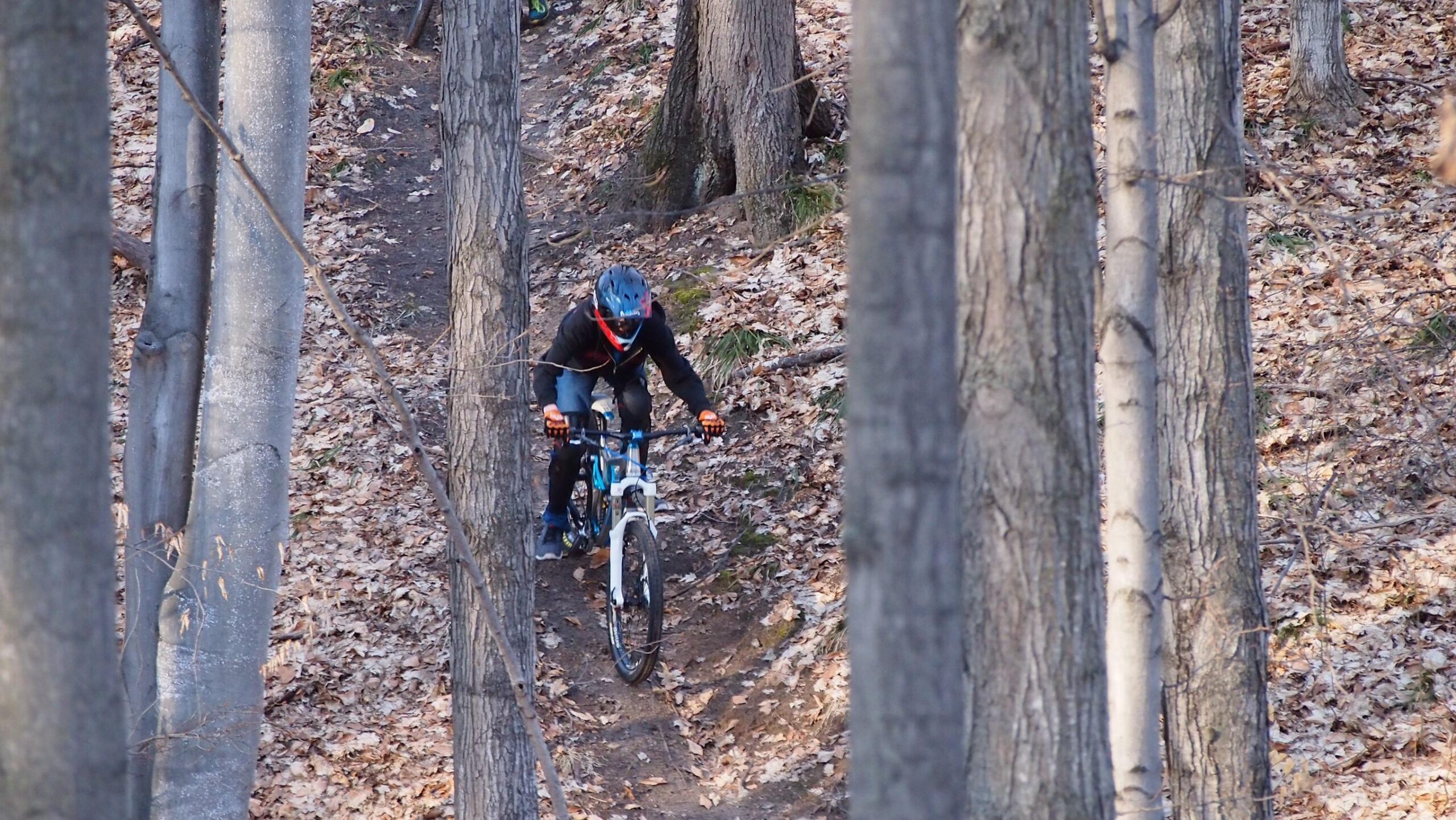 A person riding a mountain bike along a narrow dirt path in a forest, surrounded by tall trees. The ground is covered with fallen leaves, and the cyclist is wearing a helmet and protective gear. The scene captures the essence of outdoor adventure and biking in nature. Copper Ridge Freeride mountain bike trail.
