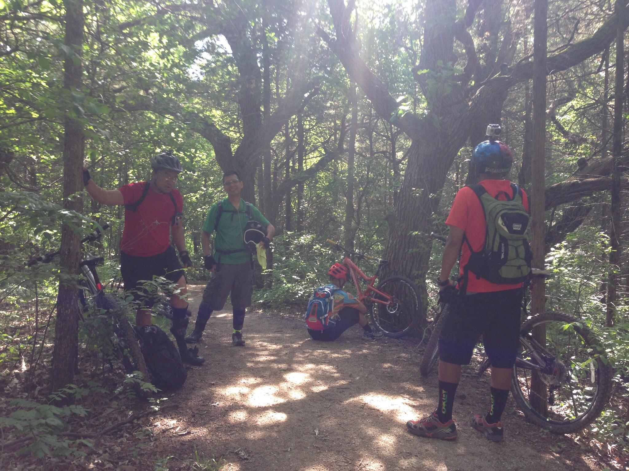 Three mountain bikers take a break on a trail in a lush, green forest. The sunlight filters through the trees, creating a dappled light effect. Two of the bikers, wearing helmets and casual biking gear, are standing near their bikes, engaged in conversation. The third biker is crouched down next to a bike, adjusting equipment. In the background, various trees and foliage frame the scene, enhancing the outdoor atmosphere. Emma Carlin mountain bike trail.