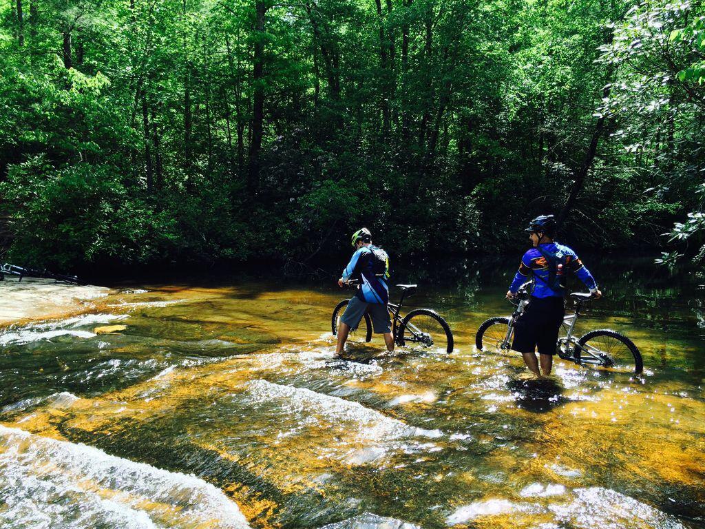 Two mountain bikers navigate a shallow stream with their bicycles in a lush green forest. Sunlight filters through the trees, illuminating the water and rocky bed beneath them. DuPont State Forest mountain bike trail.