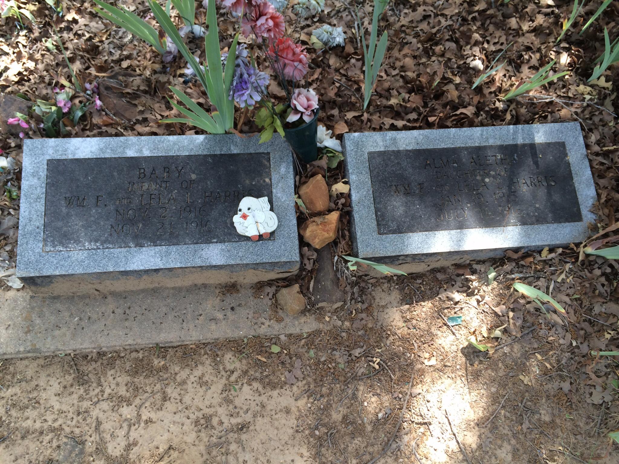 Two gravestones side by side, one marked "Baby" with dates November 2, 1916 to November 21, 1916, and the other for "Alma Aletha," with dates January 10, 1918 to July 18, 1924. The stones are surrounded by dry leaves and small plants, with a decorative chicken figurine placed on the first stone. Lake Murray State Park mountain bike trail.