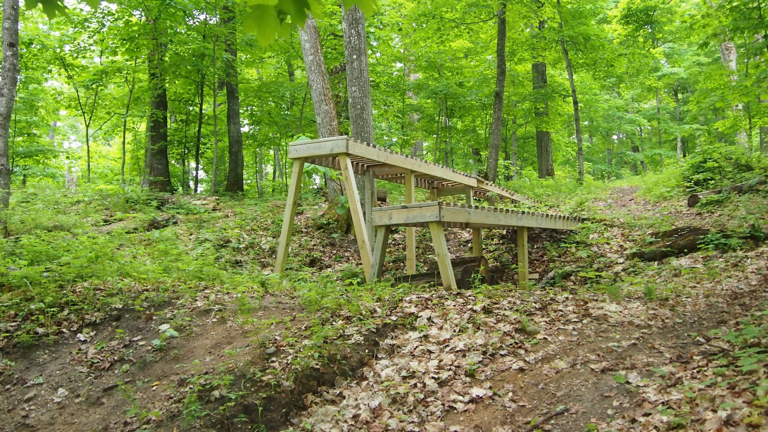 A wooden bridge elevated over a small depression, surrounded by lush green foliage and trees in a forested area. The ground is covered with fallen leaves, and a dirt trail can be seen leading into the woods. Boyne Highlands mountain bike trail.