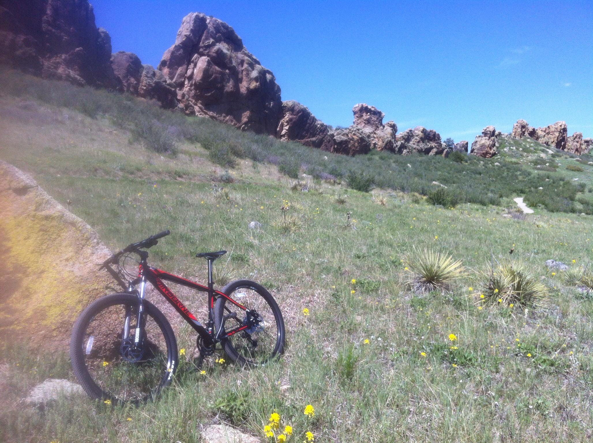 Airborne Guardian: A red mountain bike leaning against a rock in a grassy landscape, with rocky formations in the background and a clear blue sky above. Wildflowers dot the green terrain, creating a scenic outdoor setting.