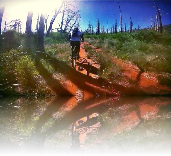 A person riding a mountain bike on a dirt trail surrounded by sparse vegetation and dead trees, with a bright blue sky overhead. The waterlogged trail reflects the rider and the surrounding landscape, creating a striking visual contrast with the red earth. Cuyamaca Rancho State Park mountain bike trail.