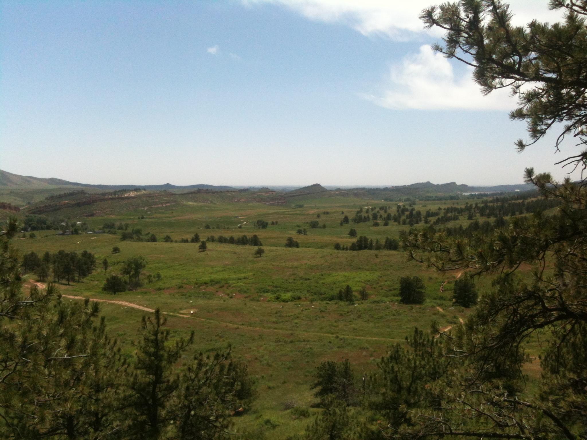 A panoramic view of a grassy landscape with rolling hills, dotted with trees under a clear blue sky. A dirt path winds through the greenery, leading towards distant hills in the background. Bobcat Ridge mountain bike trail.