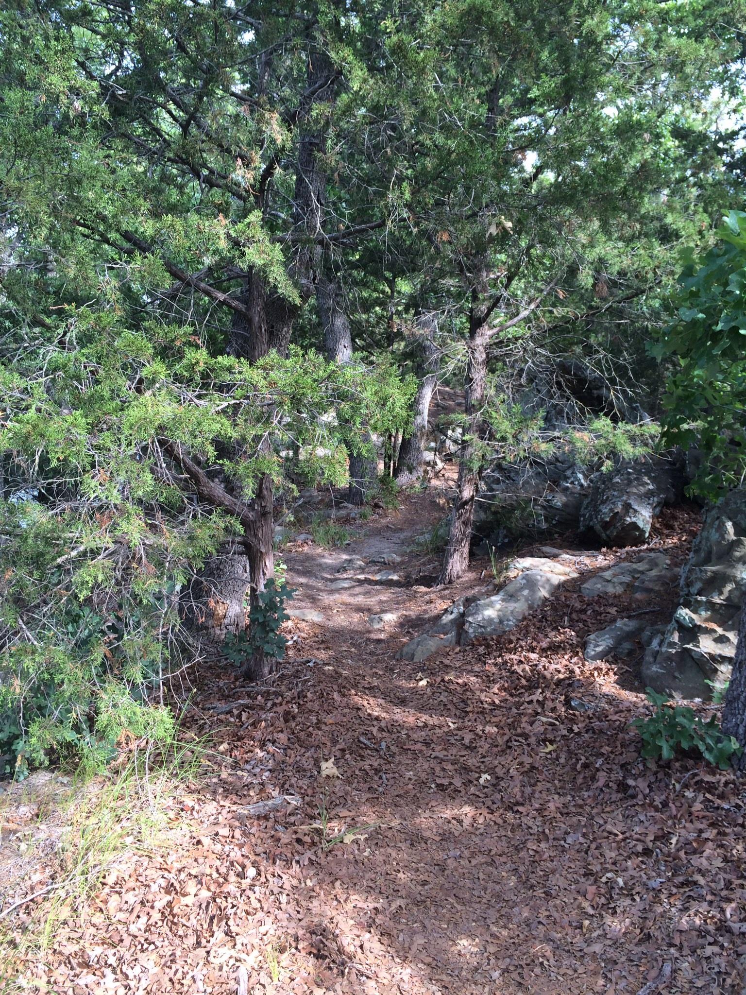 A narrow dirt path winding through a wooded area, surrounded by trees and scattered leaves on the ground. Sunlight filters through the branches, illuminating parts of the trail and the rocky outcroppings nearby. Lake Murray State Park mountain bike trail.