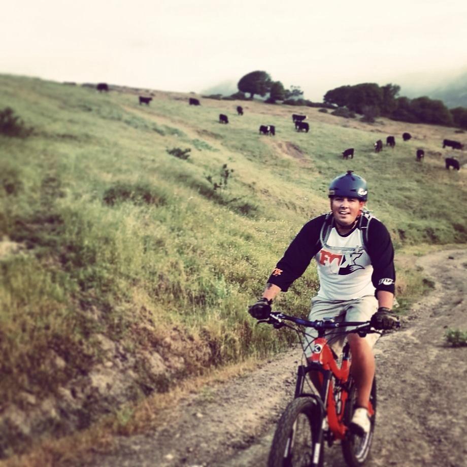 Knolly Chilcotin: A young cyclist riding a mountain bike on a dirt path through a grassy landscape, with cows grazing in the background. The cyclist is wearing a helmet and a long-sleeve shirt, smiling as they pedal along.