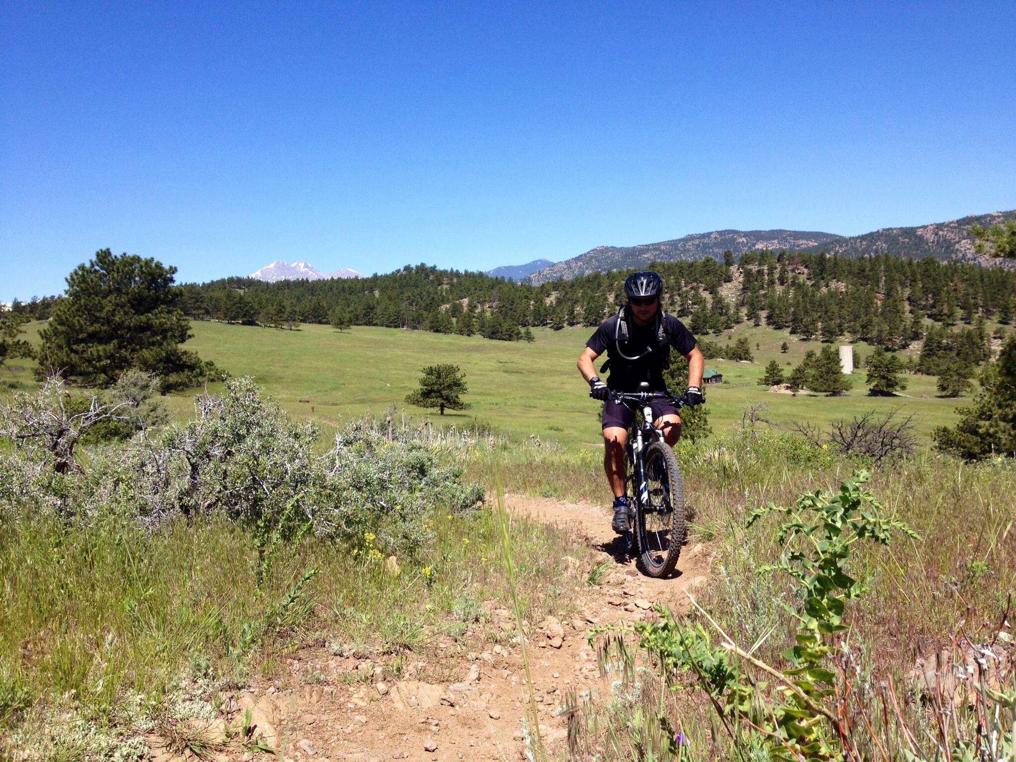 A person riding a mountain bike on a dirt trail in a green, open landscape with trees and mountains in the background under a clear blue sky. Hall Ranch mountain bike trail.