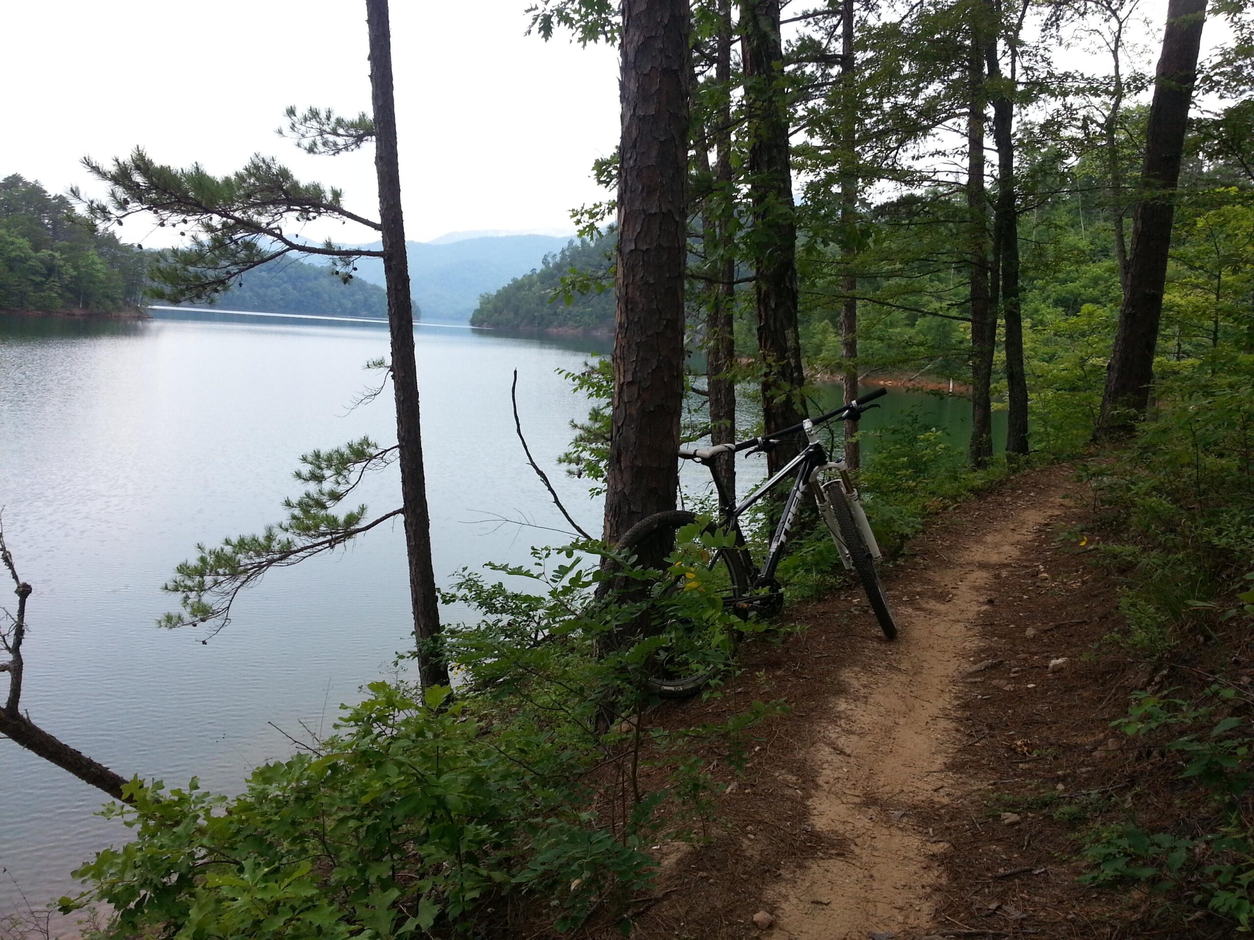A mountain bike leaning against a tree along a narrow, sandy trail by a serene lake, surrounded by lush green foliage and distant mountains under a cloudy sky. Tsali Recreation Area mountain bike trail.