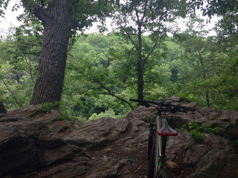 A mountain bike resting on rocky terrain with a view of a lush green forest and trees in the background. The scene captures a peaceful, natural landscape. Wissahickon Valley Park mountain bike trail.