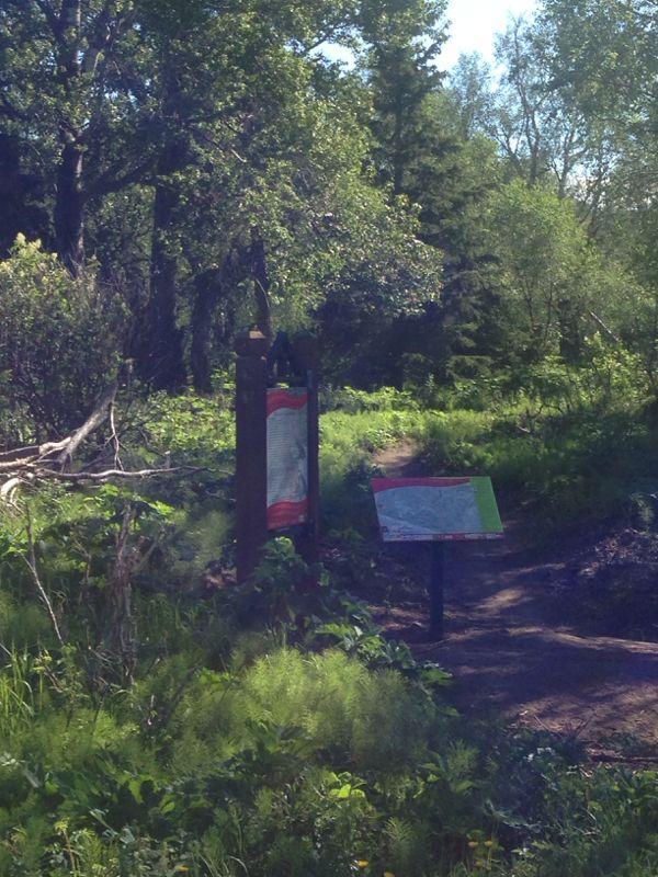 A wooded area featuring a trail signpost with a blank informational panel and an additional map sign nearby. Tall trees and lush greenery surround the path, indicating a natural outdoor setting. Kincaid Park mountain bike trail.