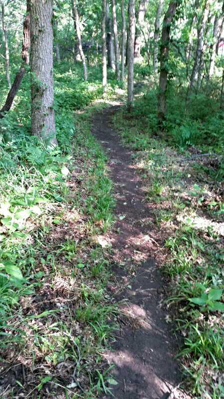 A winding dirt path through a lush green forest, bordered by trees and undergrowth, inviting exploration and tranquility. Eagle View, Kaw Lake mountain bike trail.